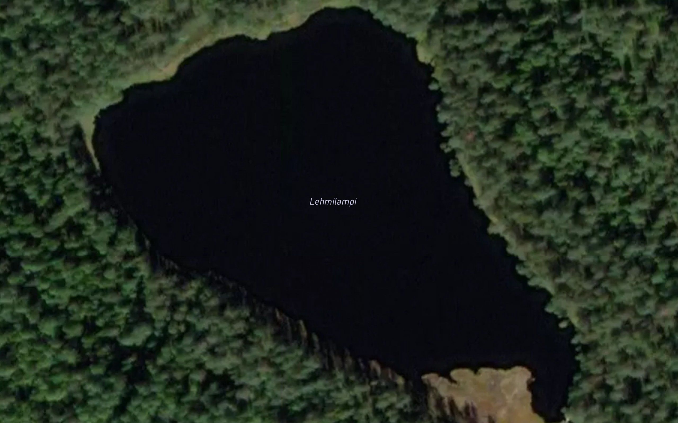 Lehmilampi