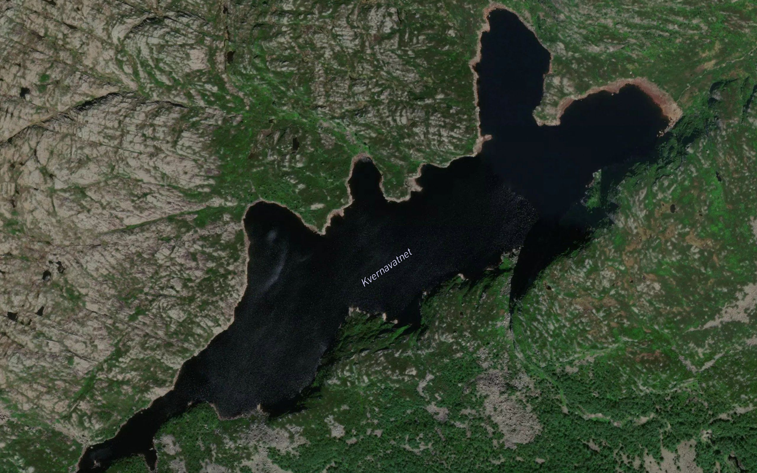 Kvednavatnet