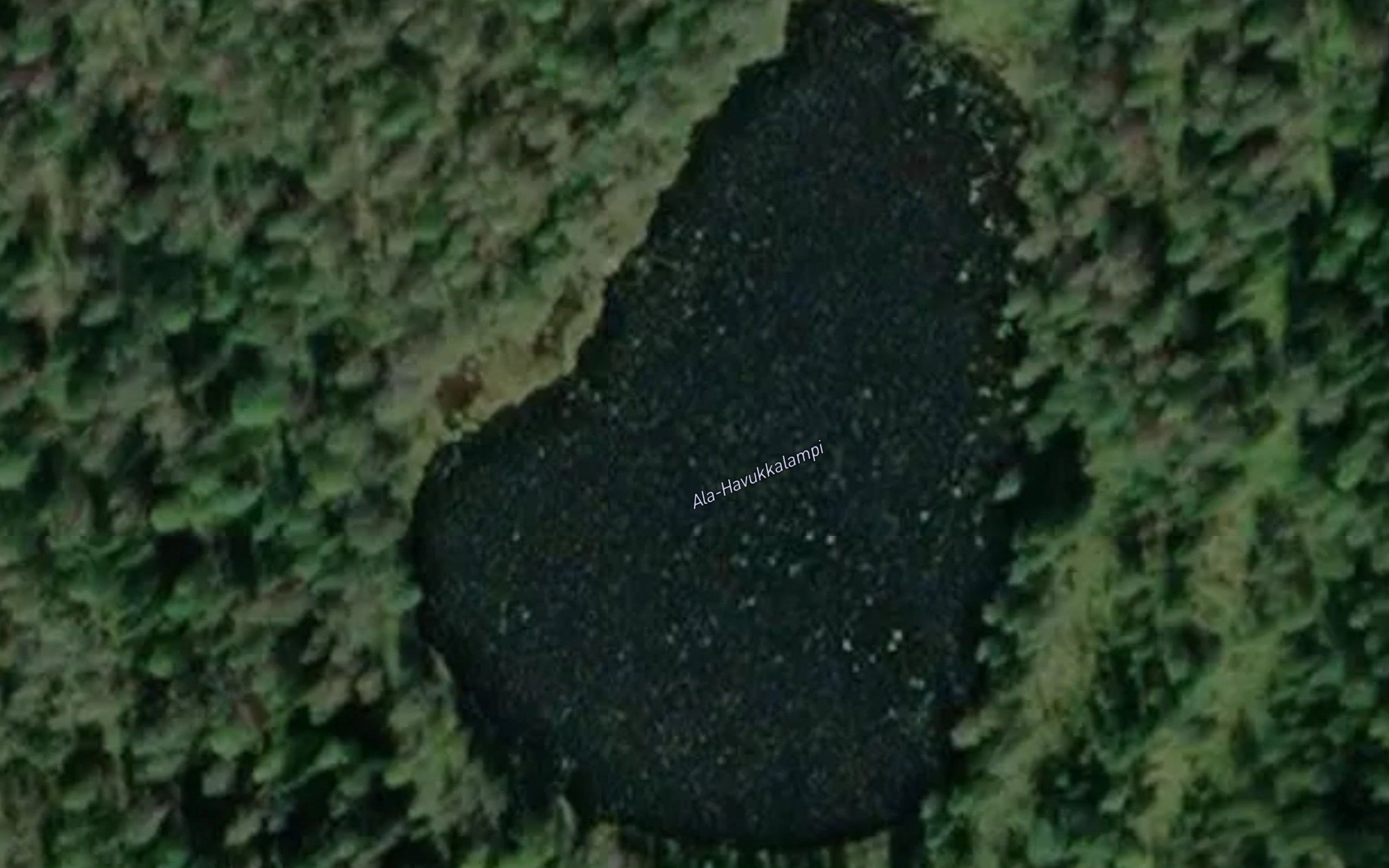 Ala-Havukkalampi