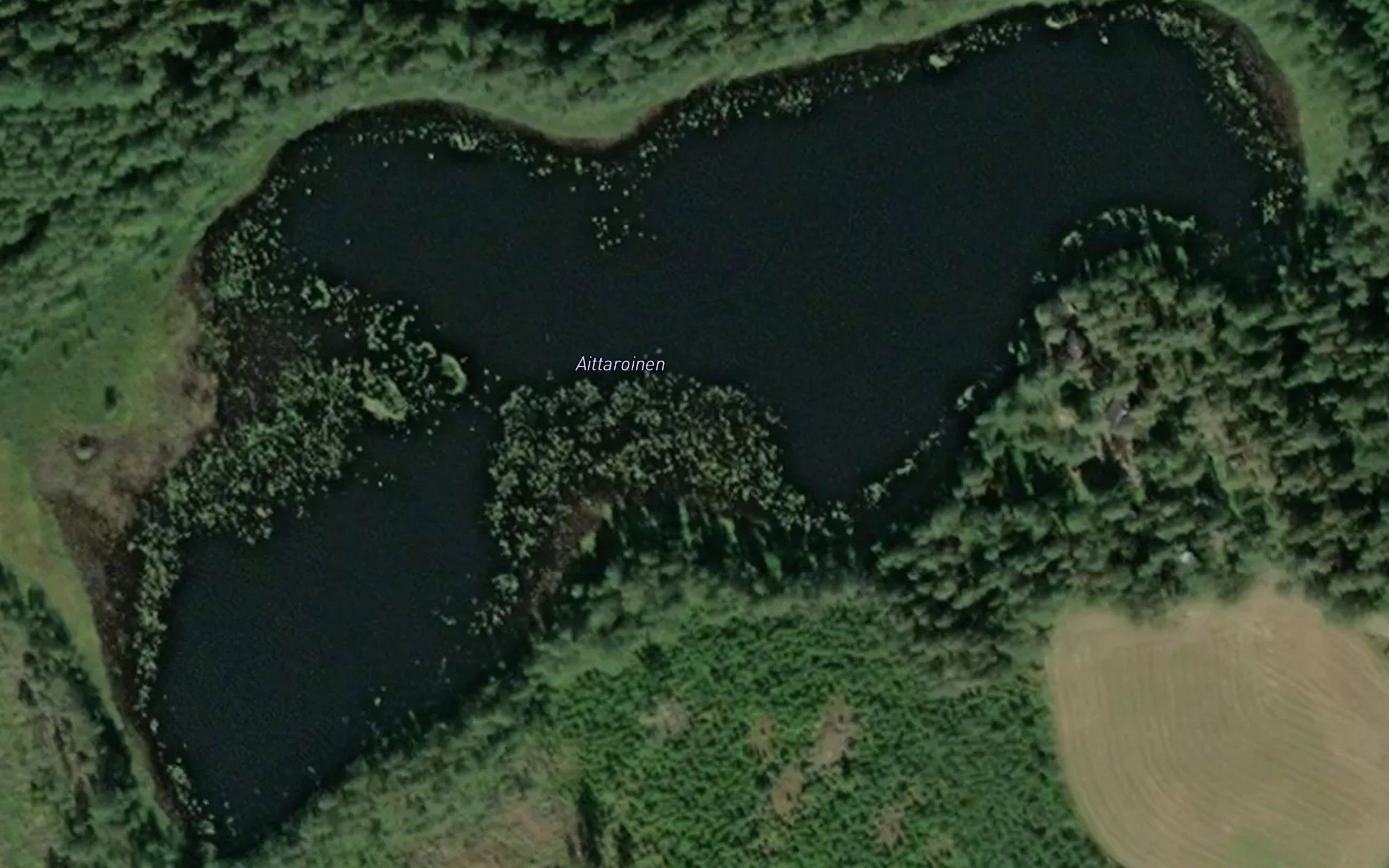 Aittaroinen