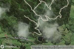 Mangarewarewa Stream