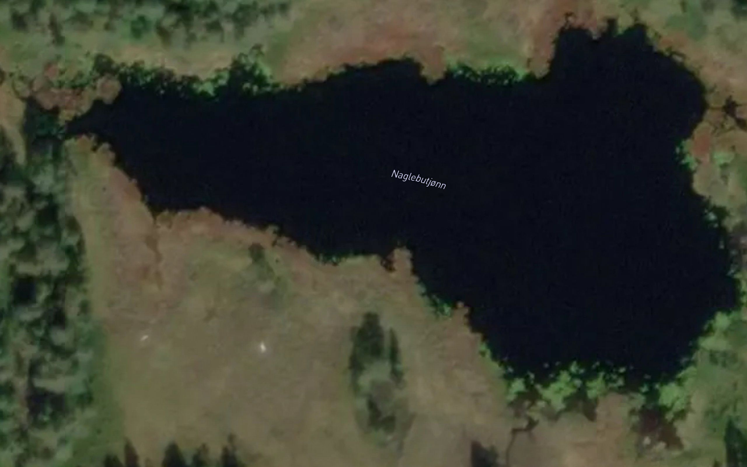 Naglebutjonn