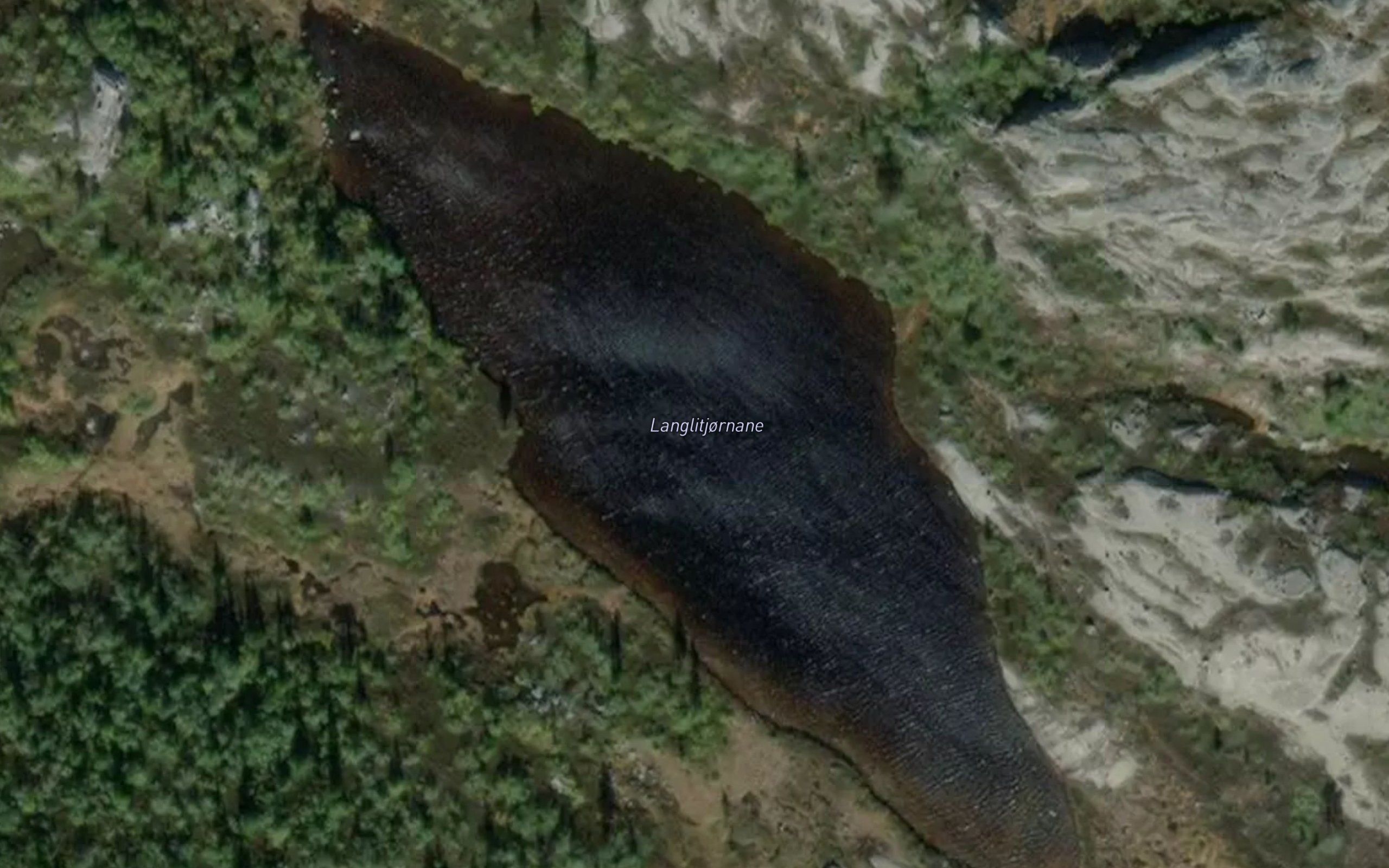 Langlitjonnane
