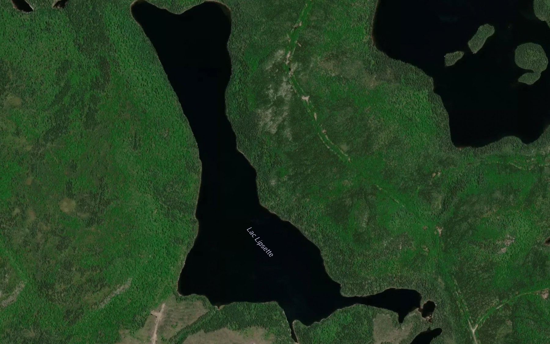Satellite map of the Lac Lipsette