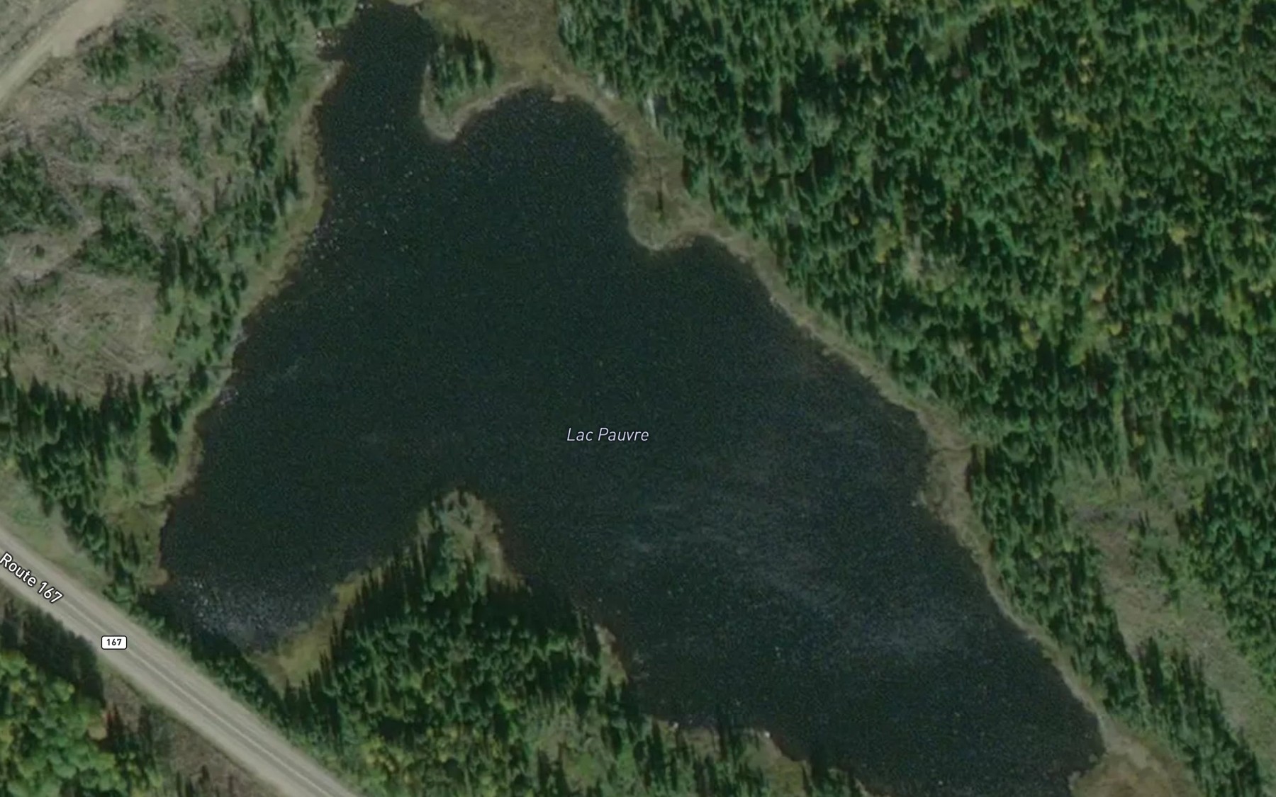 Satellite map of the Lac Pauvre