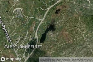 Tapptjorna