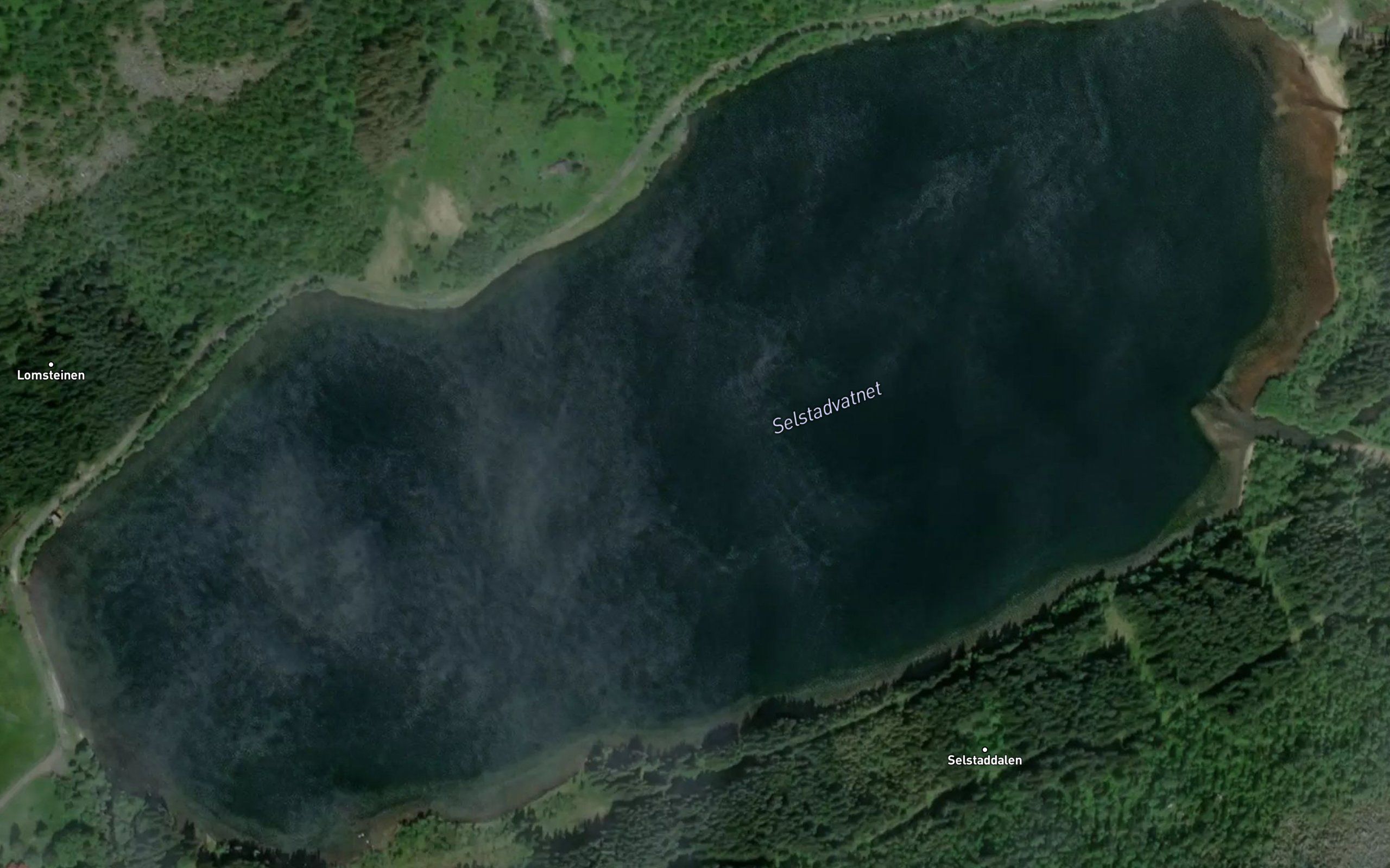 Selstadvatnet