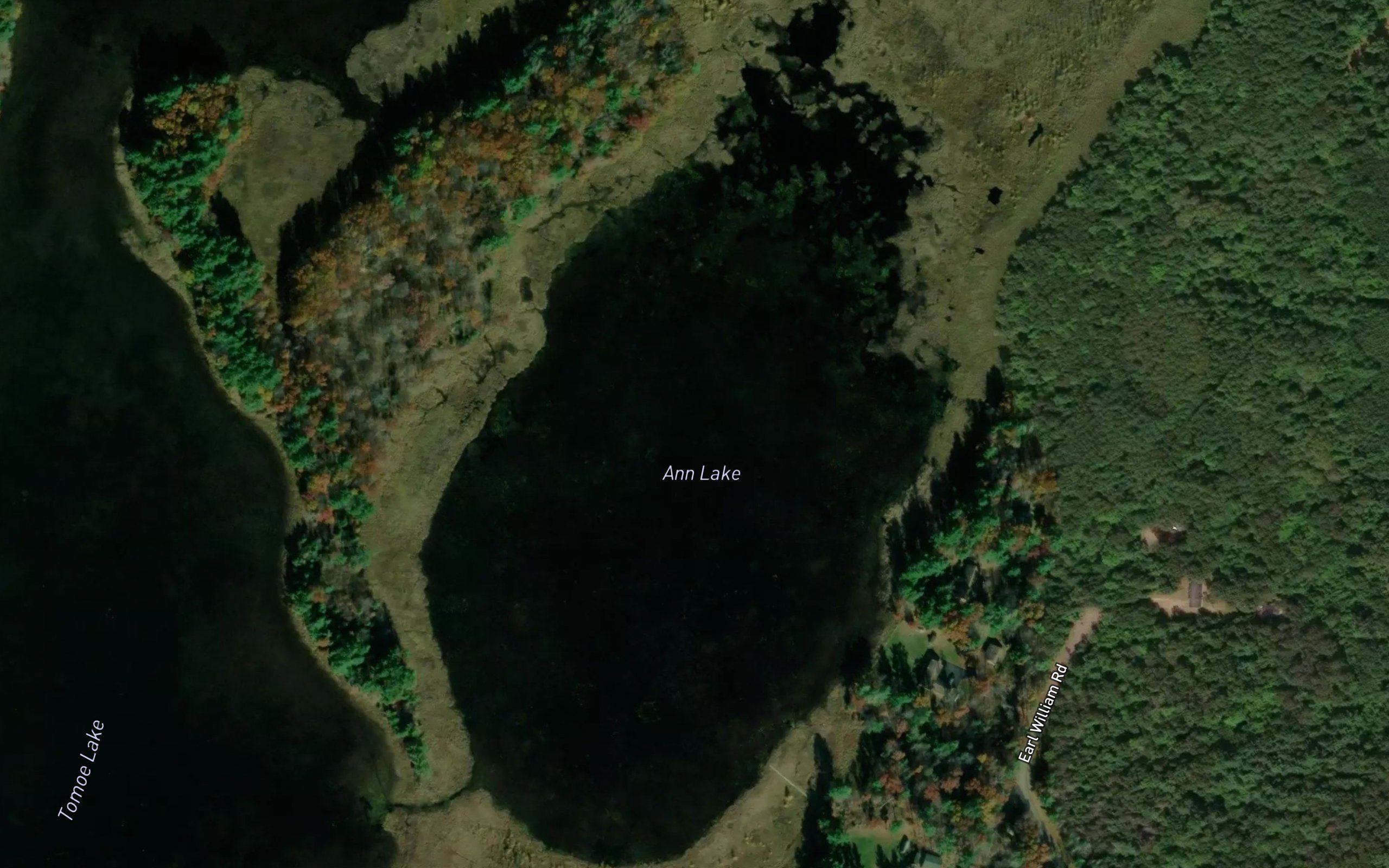 Ann Lake