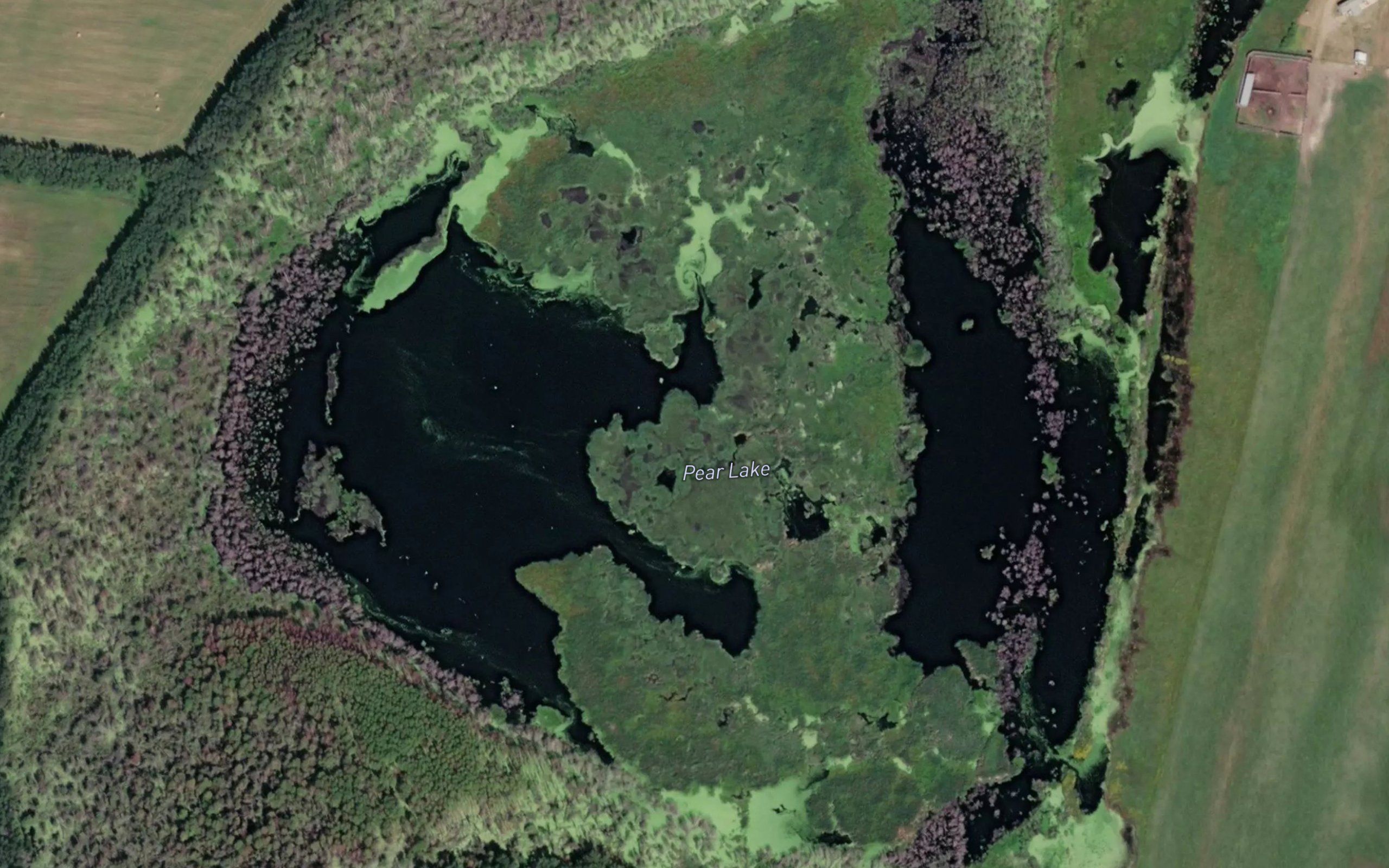 Pear Lake
