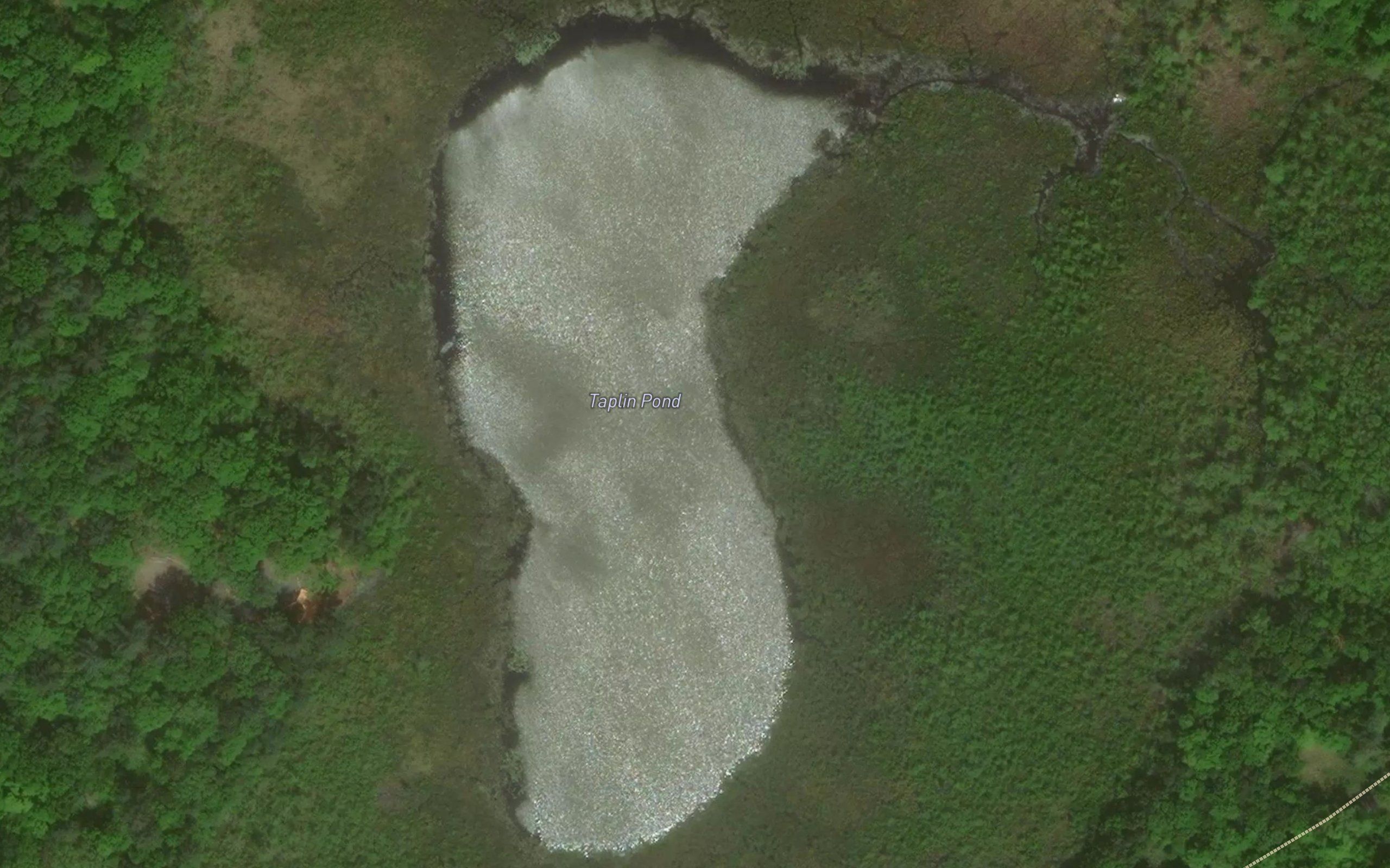 Taplin Pond