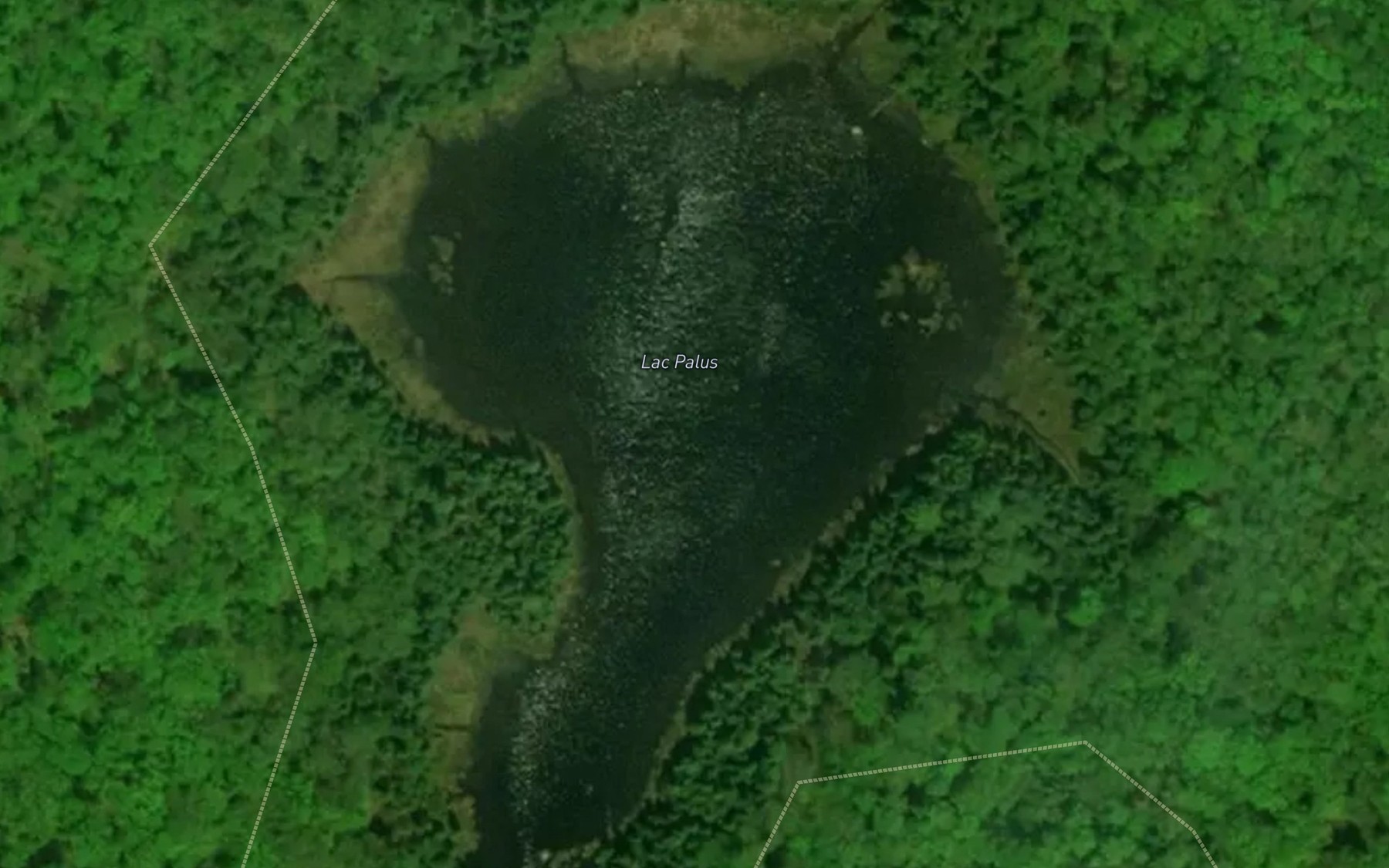 Satellite map of the Lac Palus