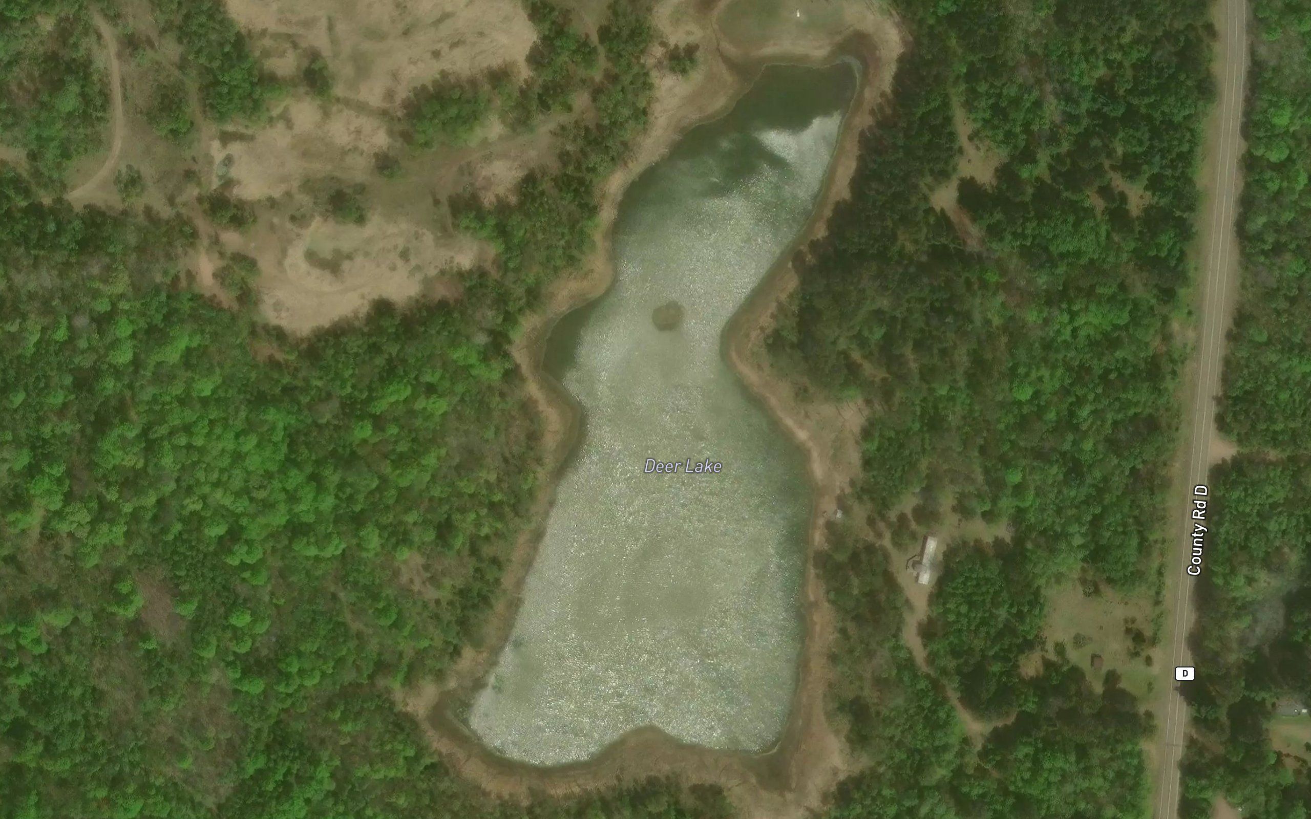Deer Lake