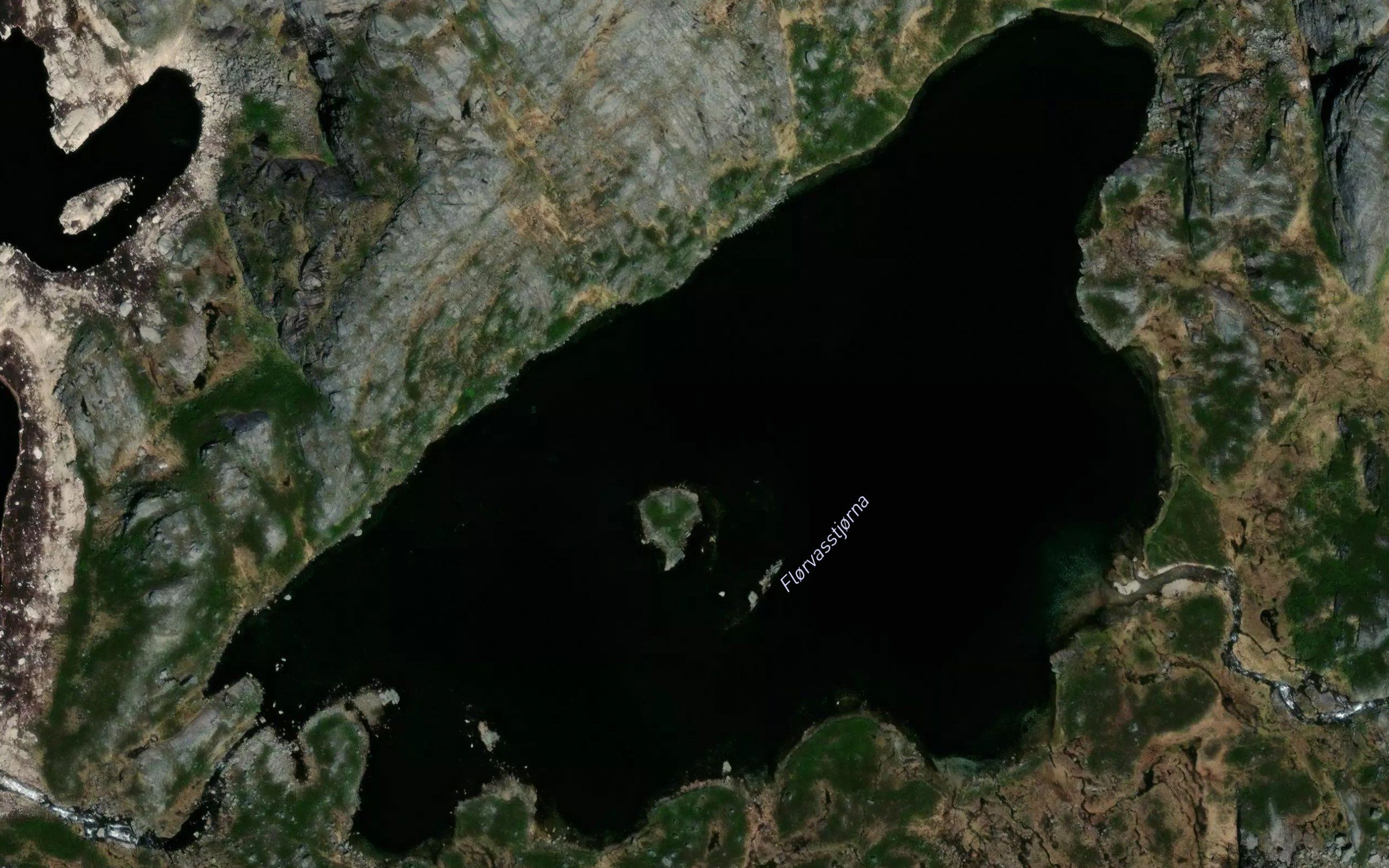 Florvasstjorna