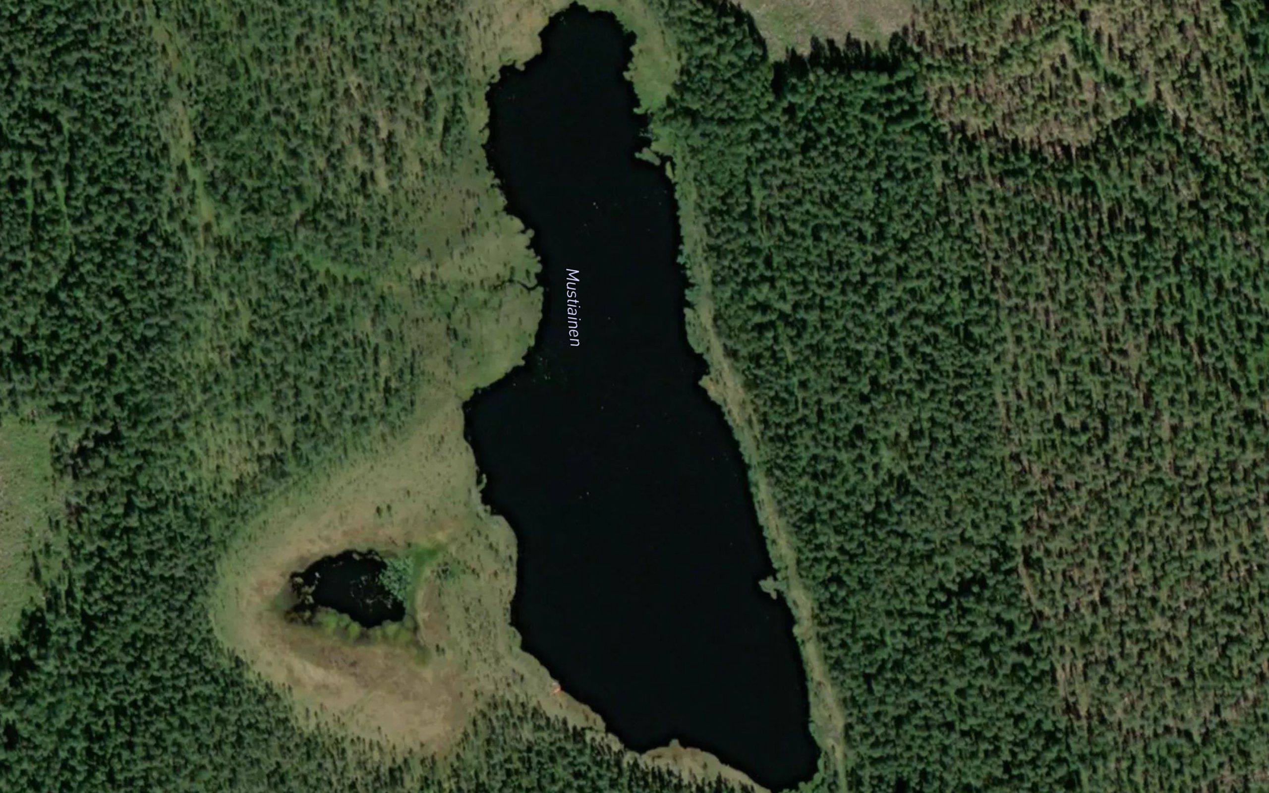 Mustiainen
