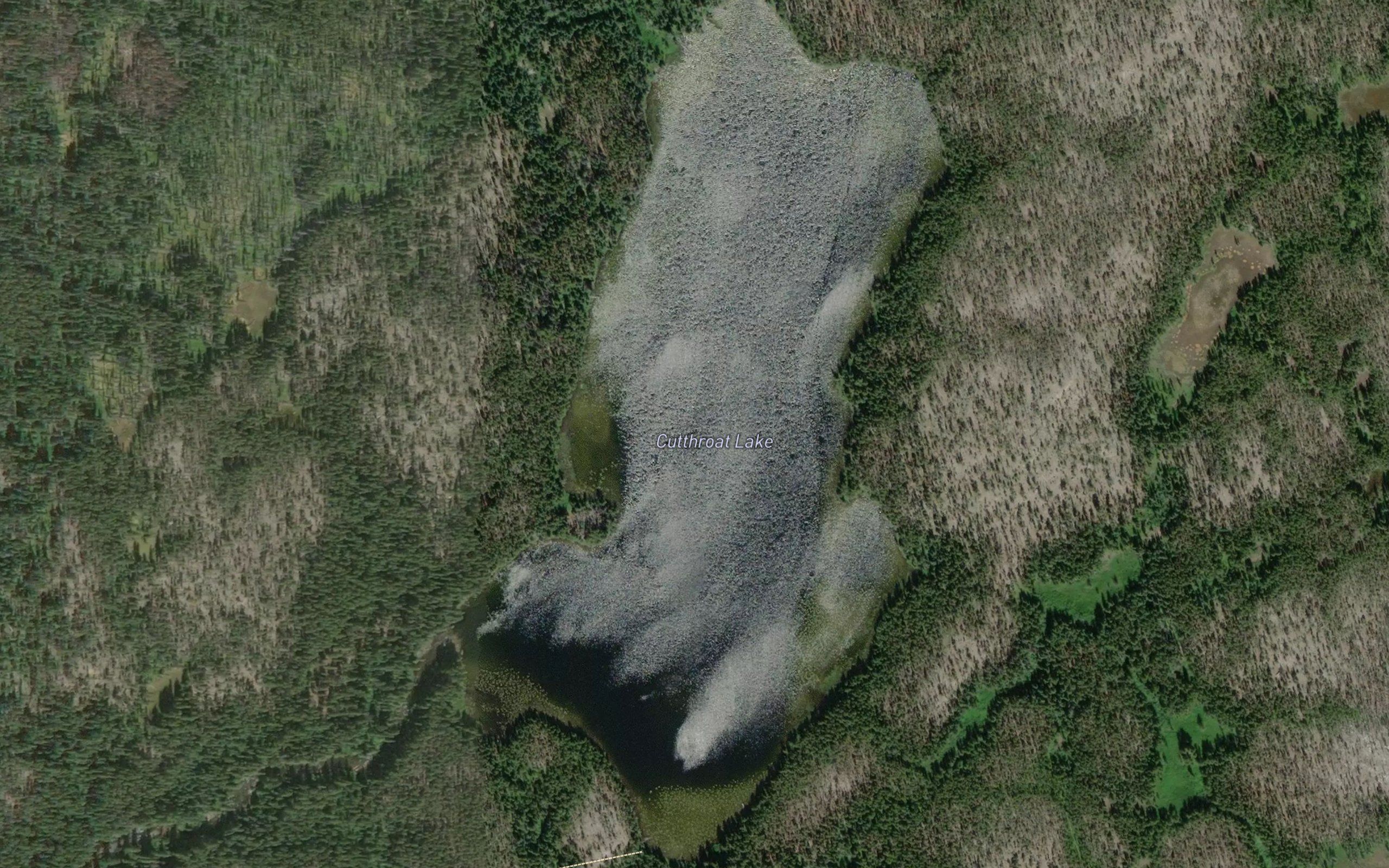 Cutthroat Lake