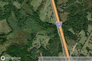 Alligator Creek