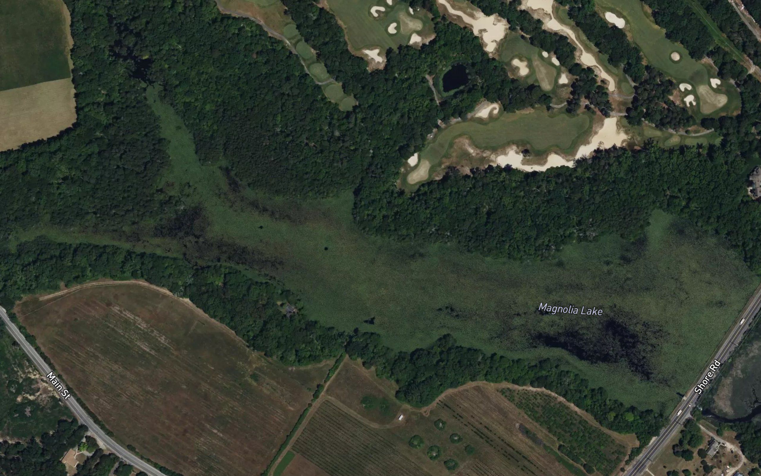Magnolia Lake