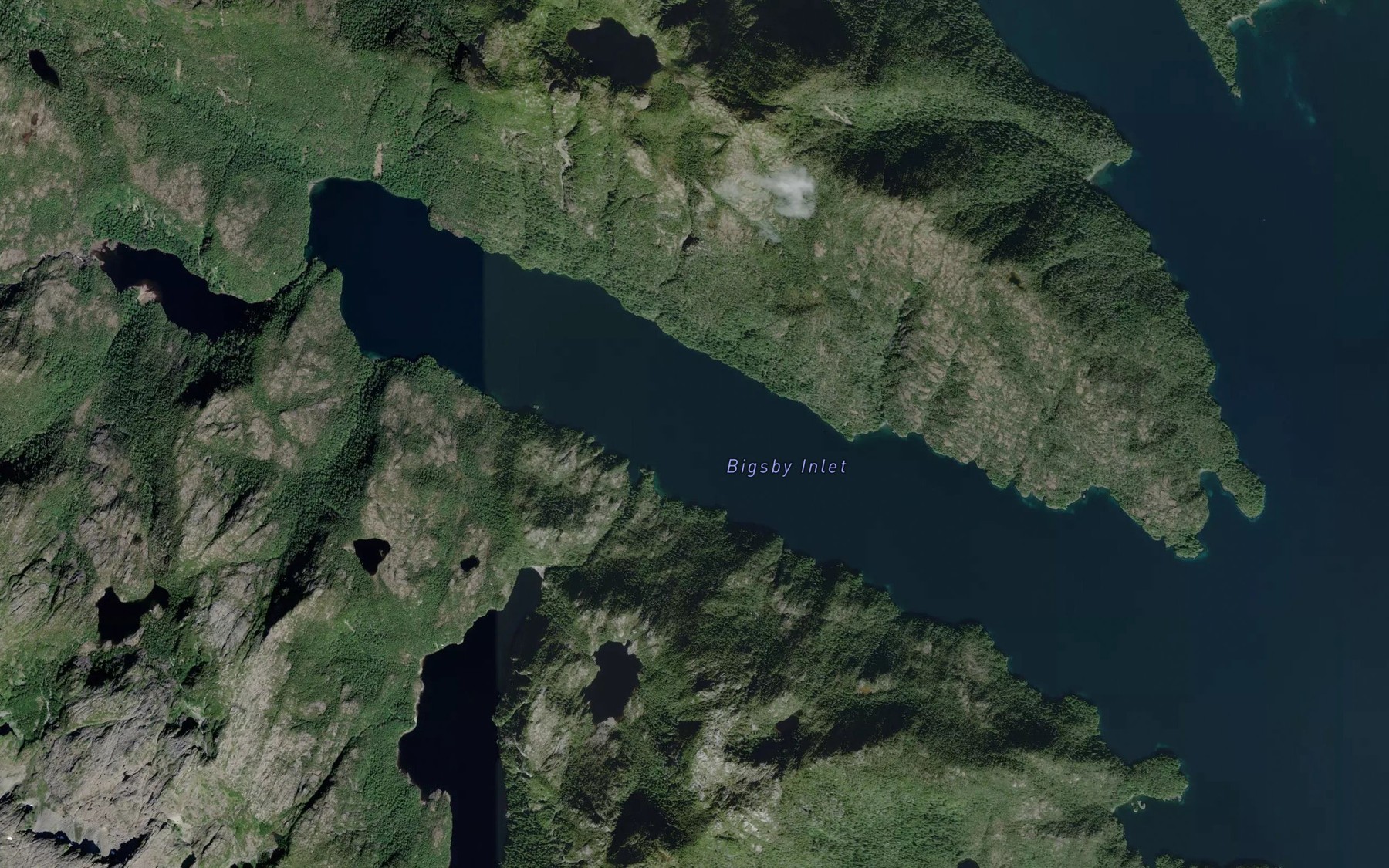 Satellite map of the Bigsby Inlet