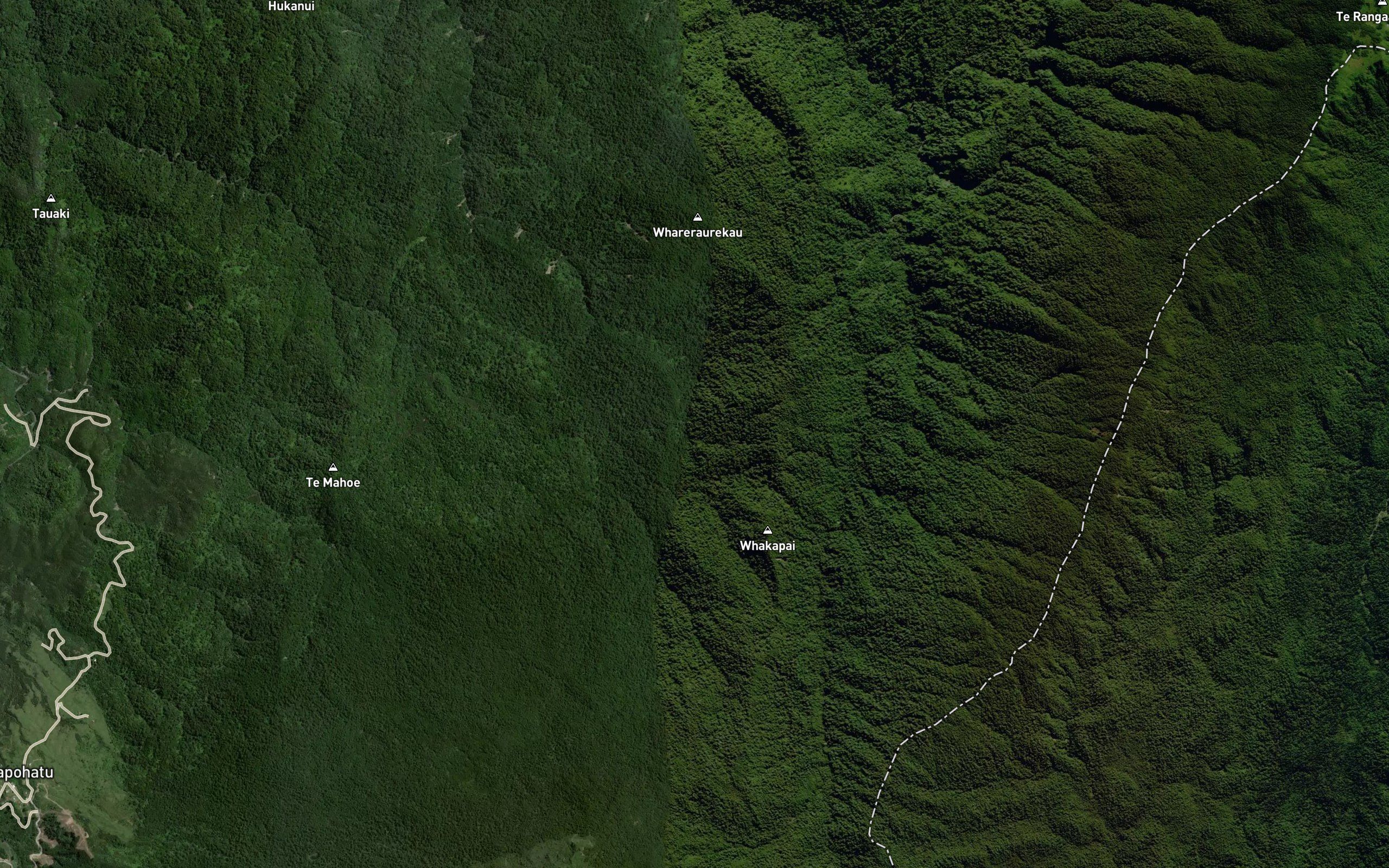 Mangatoatoa Stream