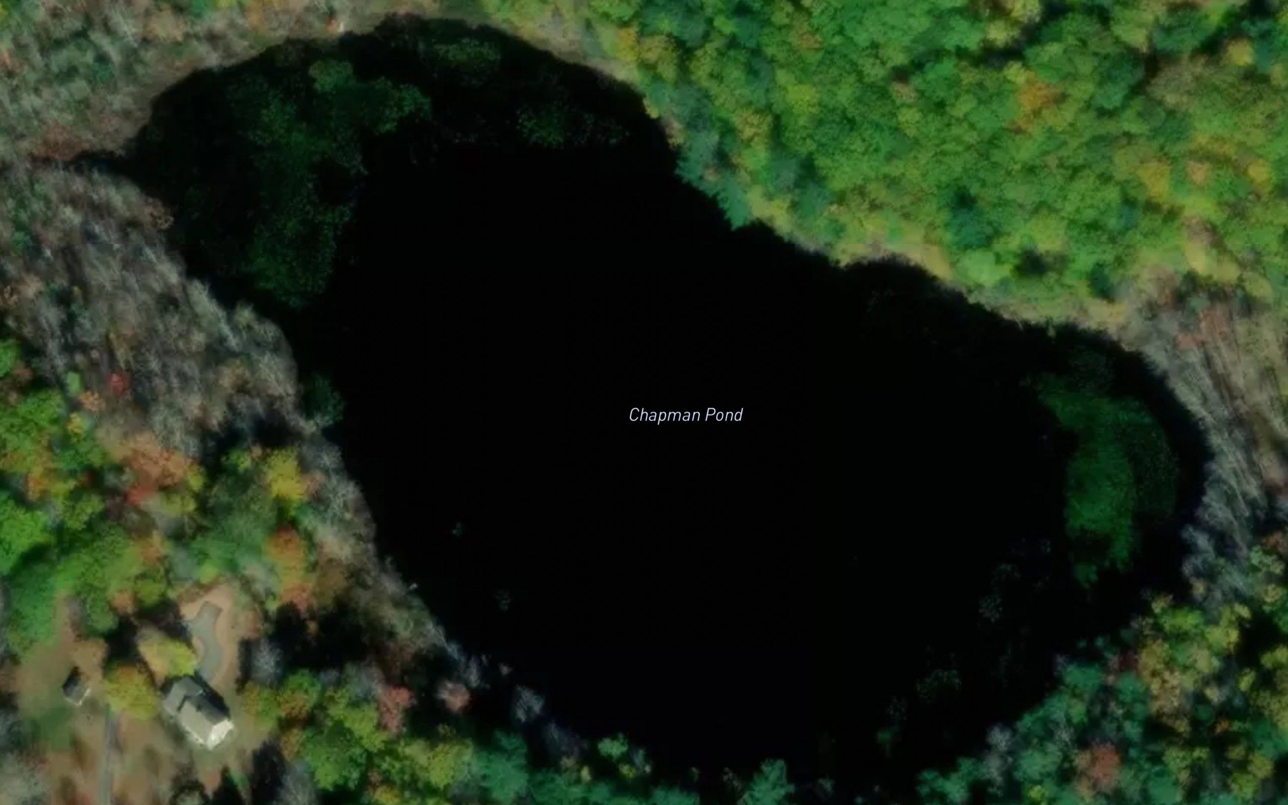 Chapman Pond