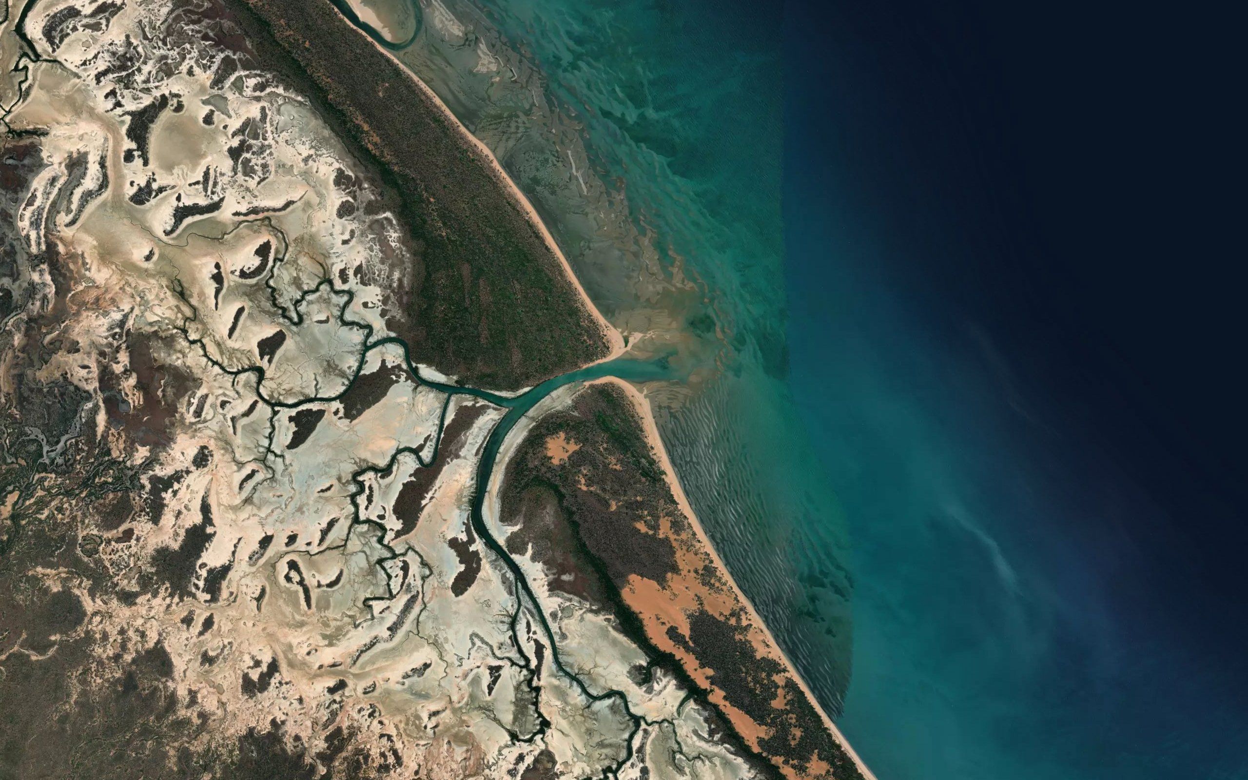 Dingo Creek