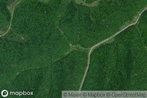 Bear Fork