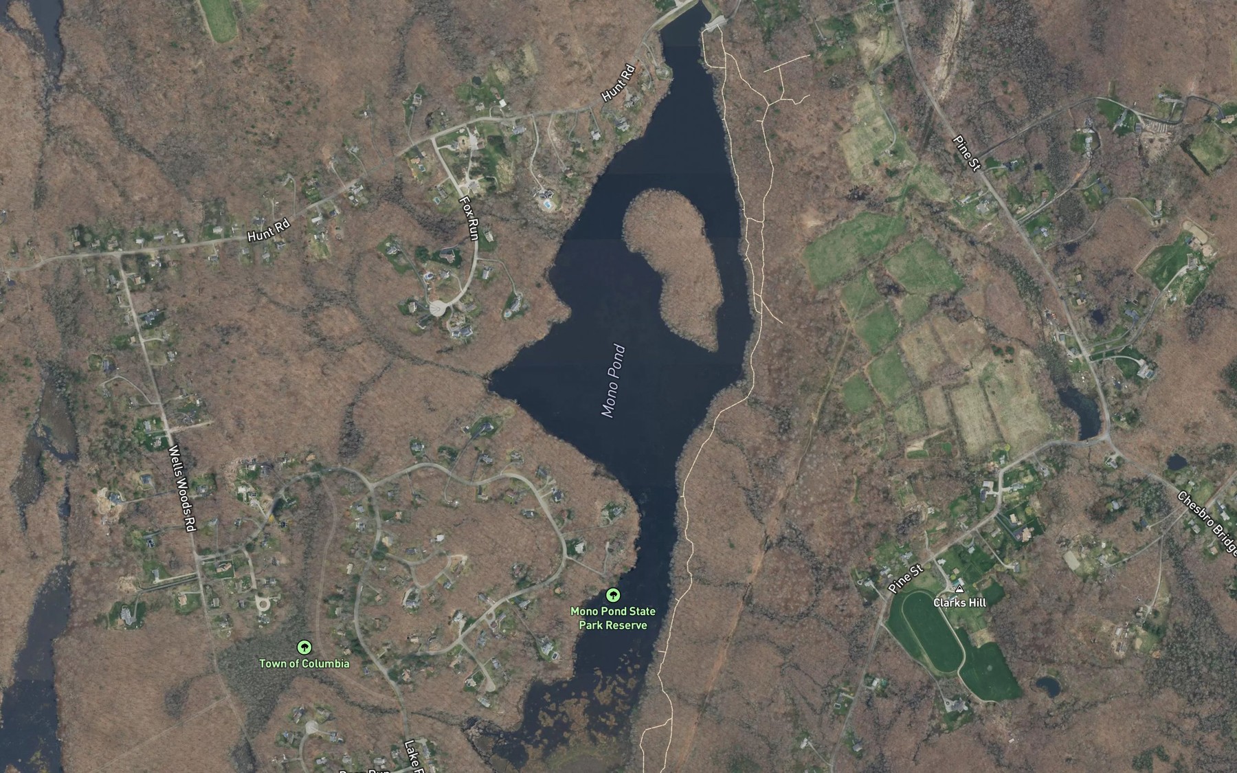 Satellite map of the Mono Pond