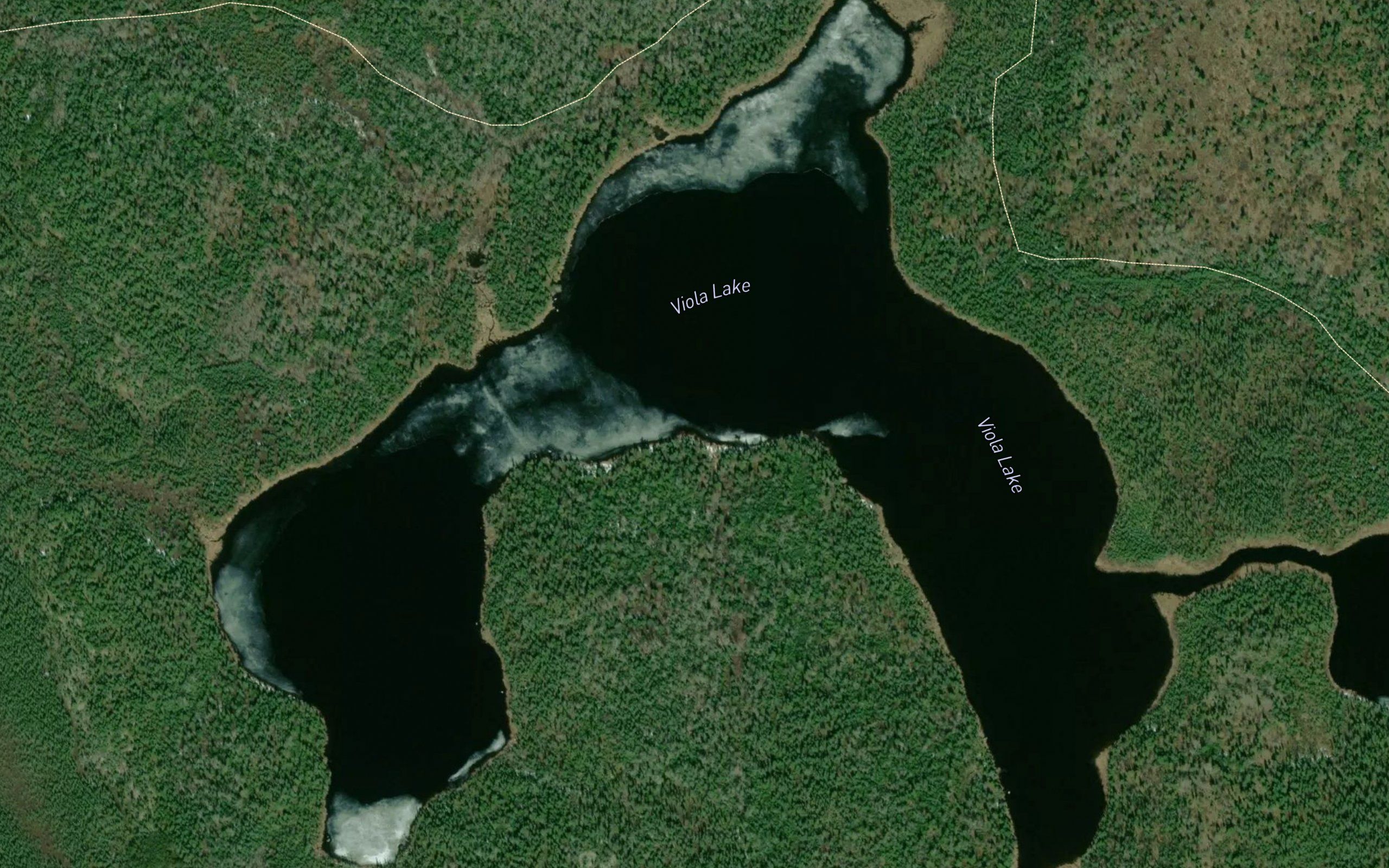Viola Lake