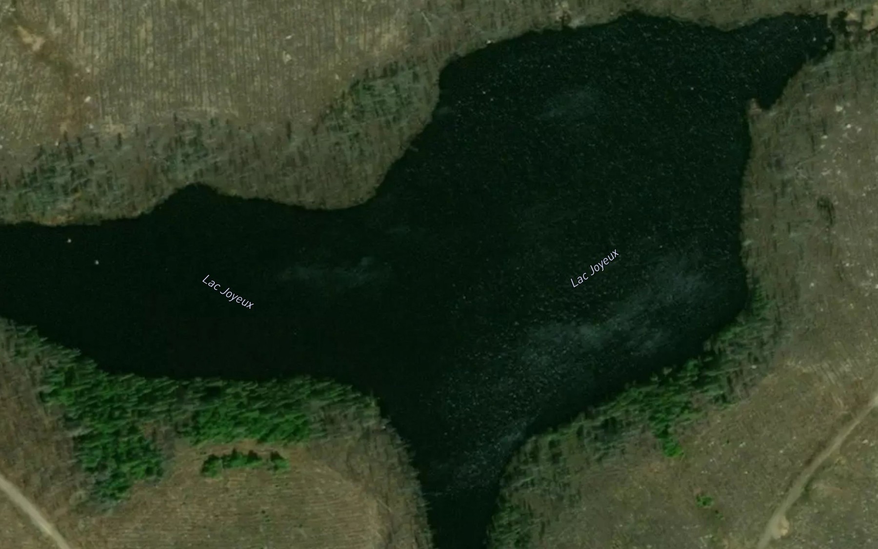 Satellite map of the Lac Joyeux
