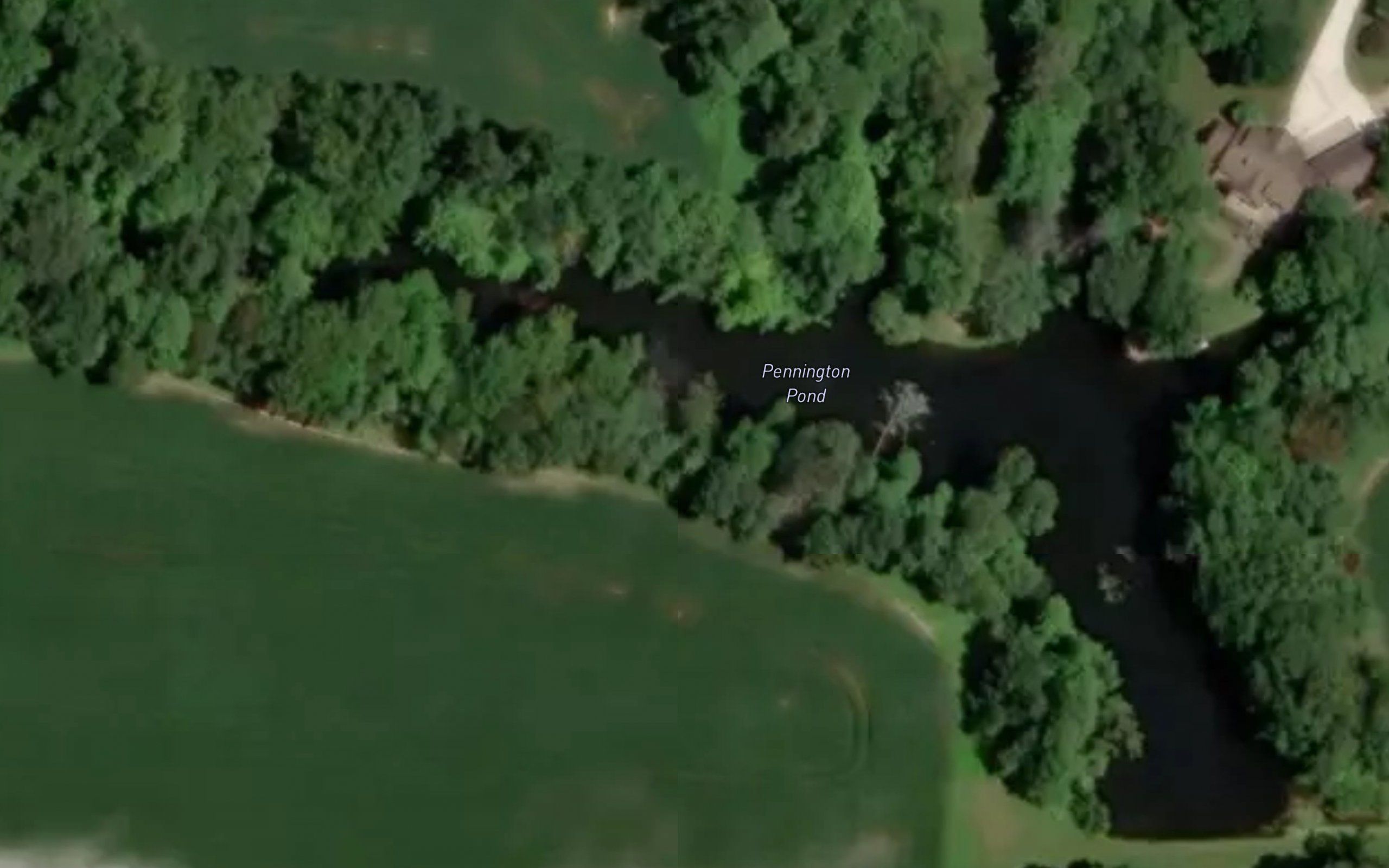 Pennington Pond