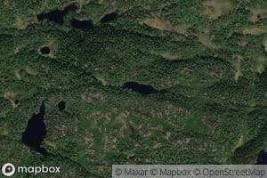 Sjolskottjonn