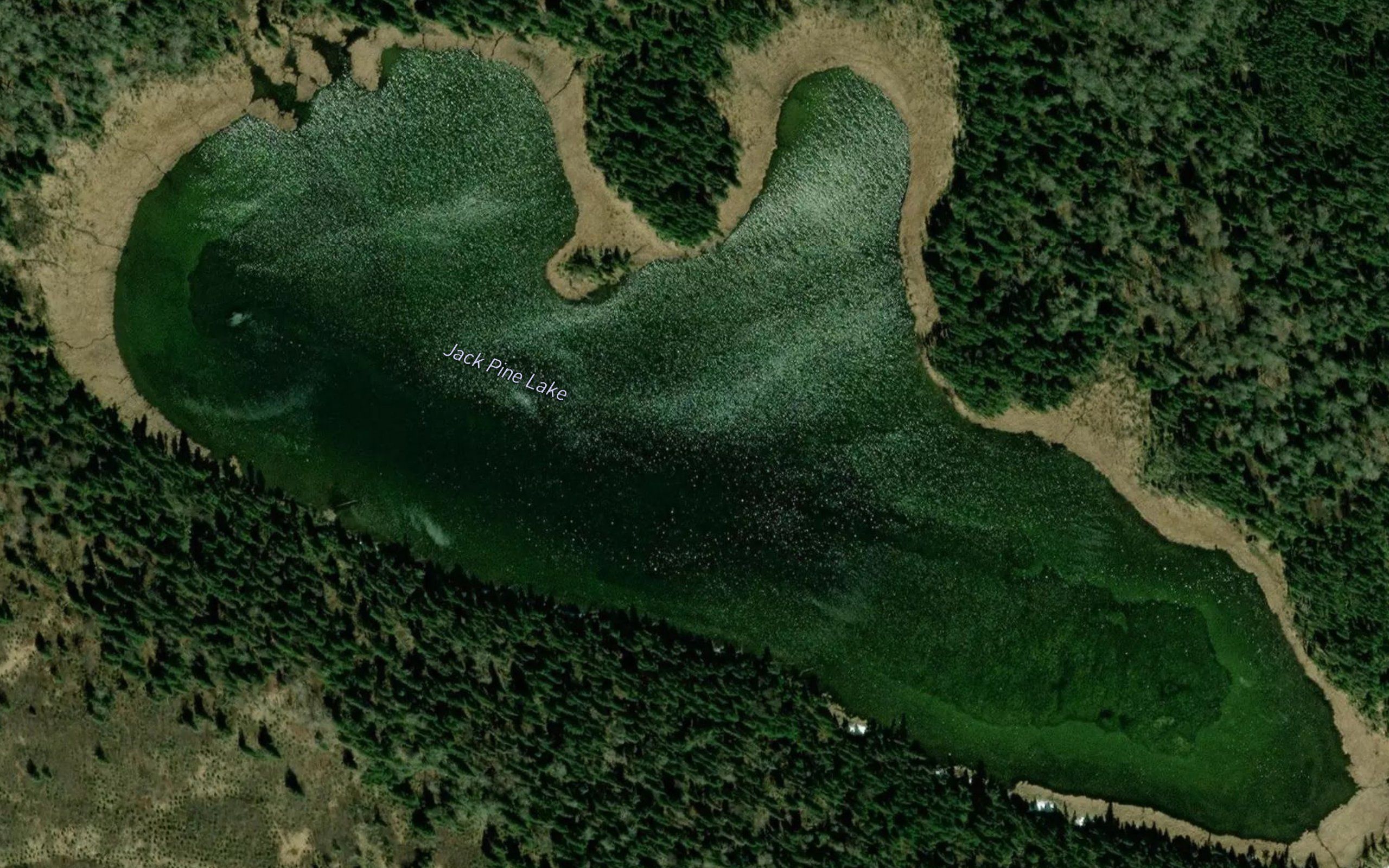 Jack Pine Lake