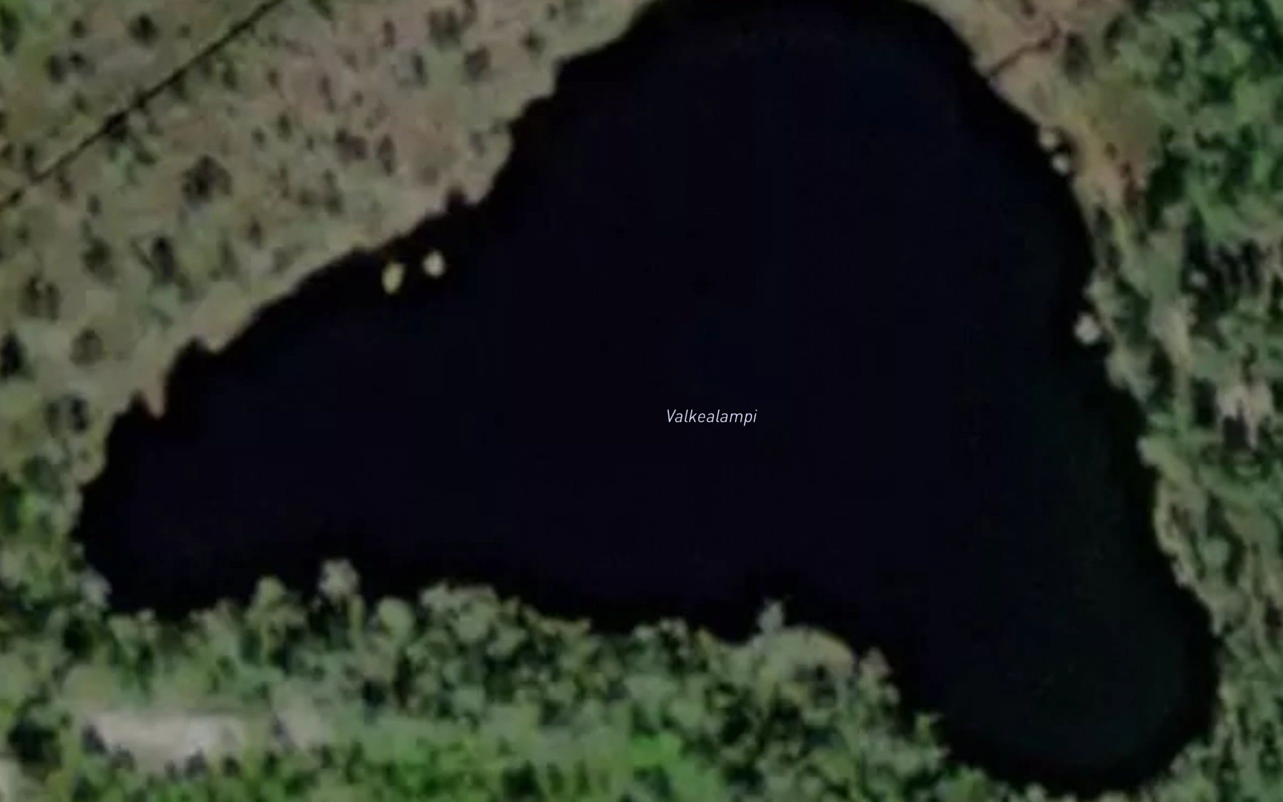 Valkealampi