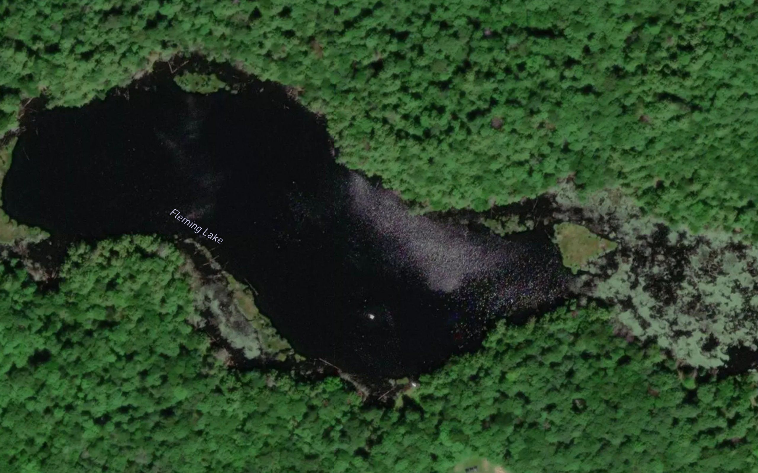 Fleming Lake