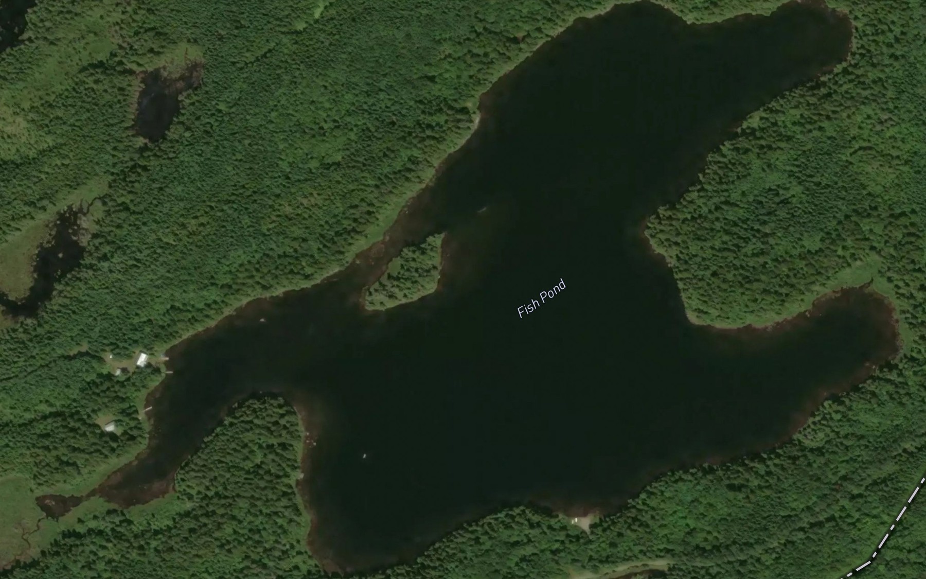 Satellite map of the Fish Pond