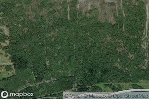 Merkingselva
