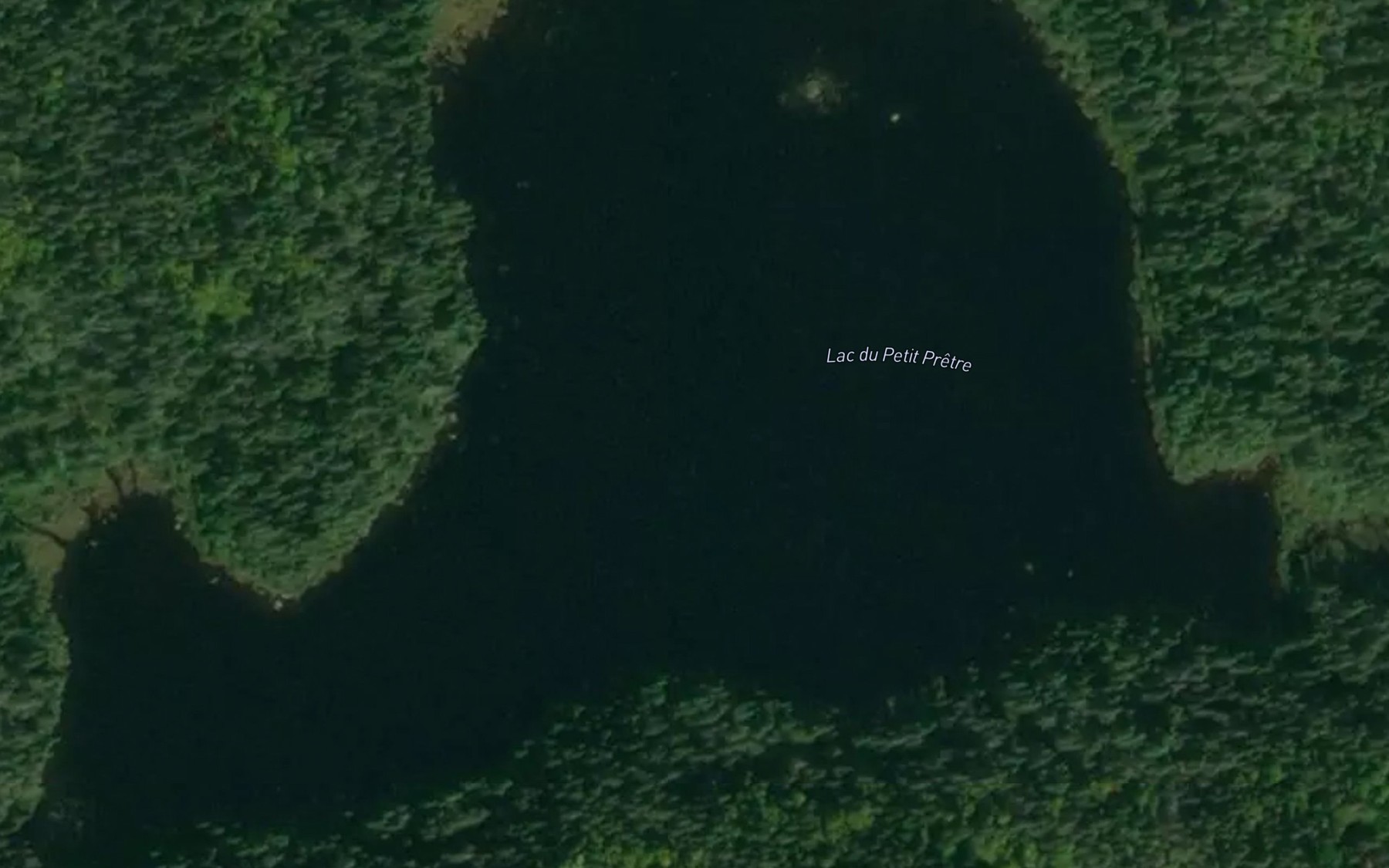 Satellite map of the Lac du Petit Pretre
