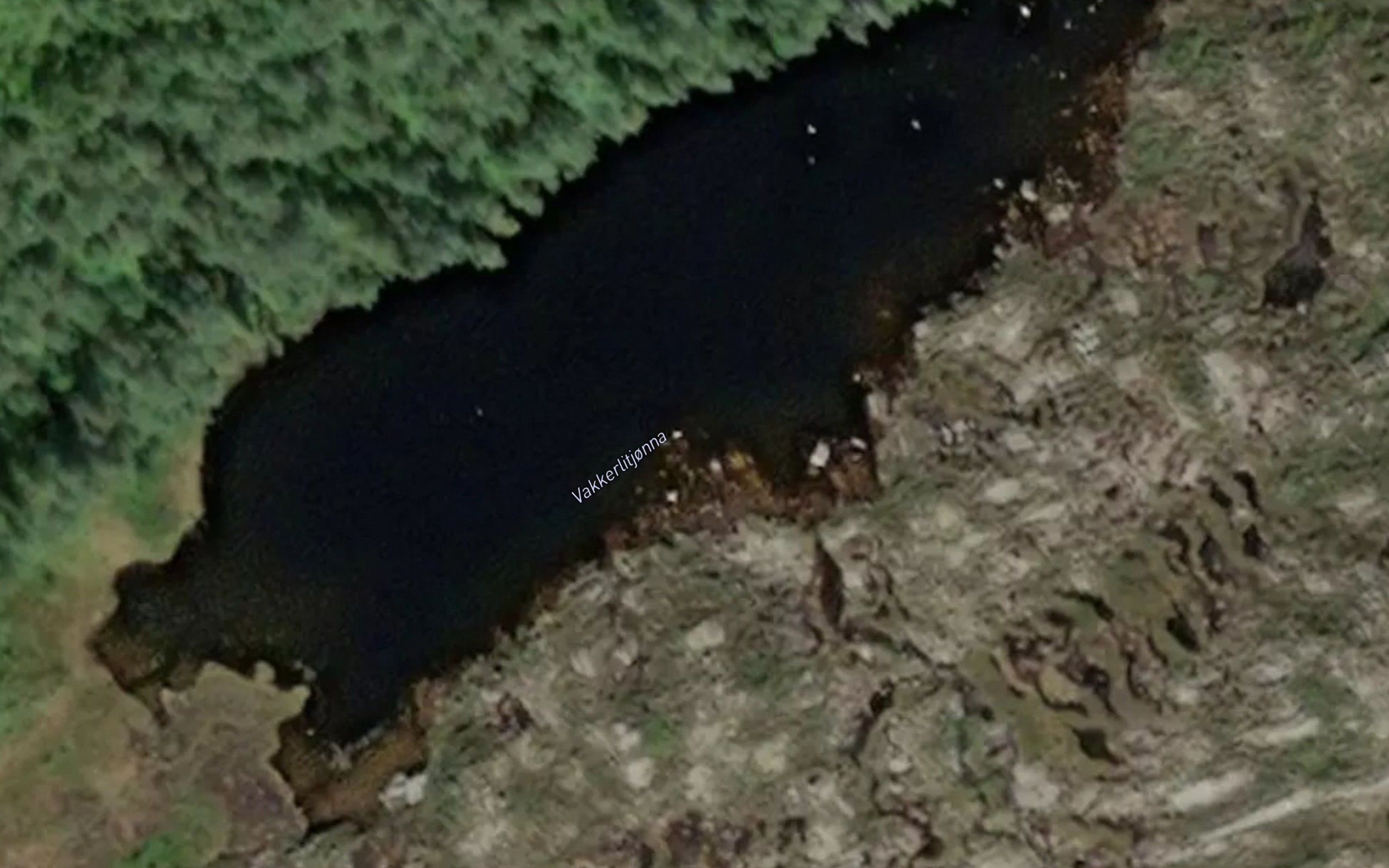 Vakkerlitjonna
