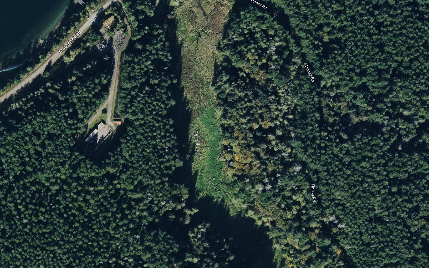 Satellite map of the Cattail Lake