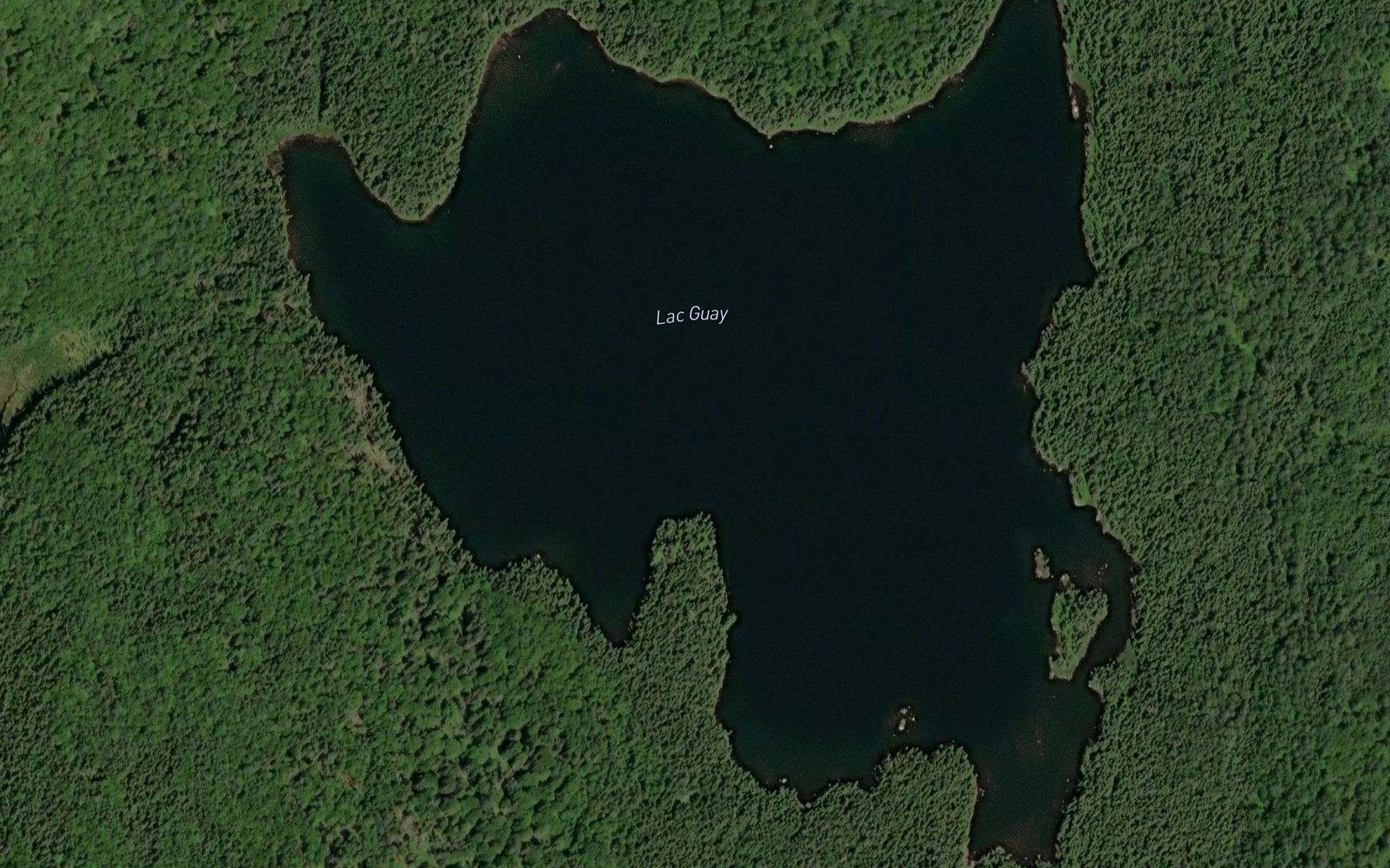 Satellite map of the Lac Guay