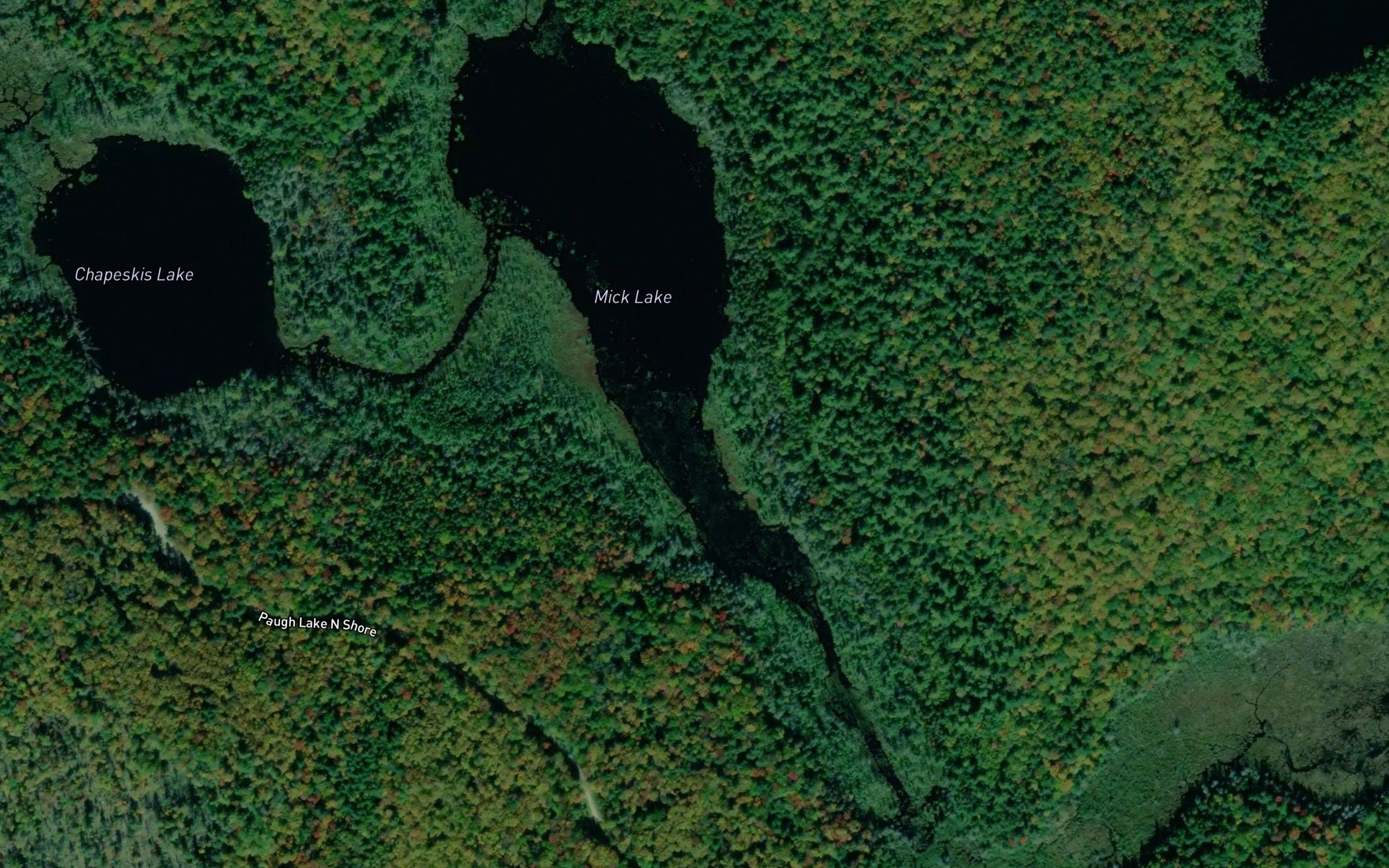 Satellite map of the Mick Lake