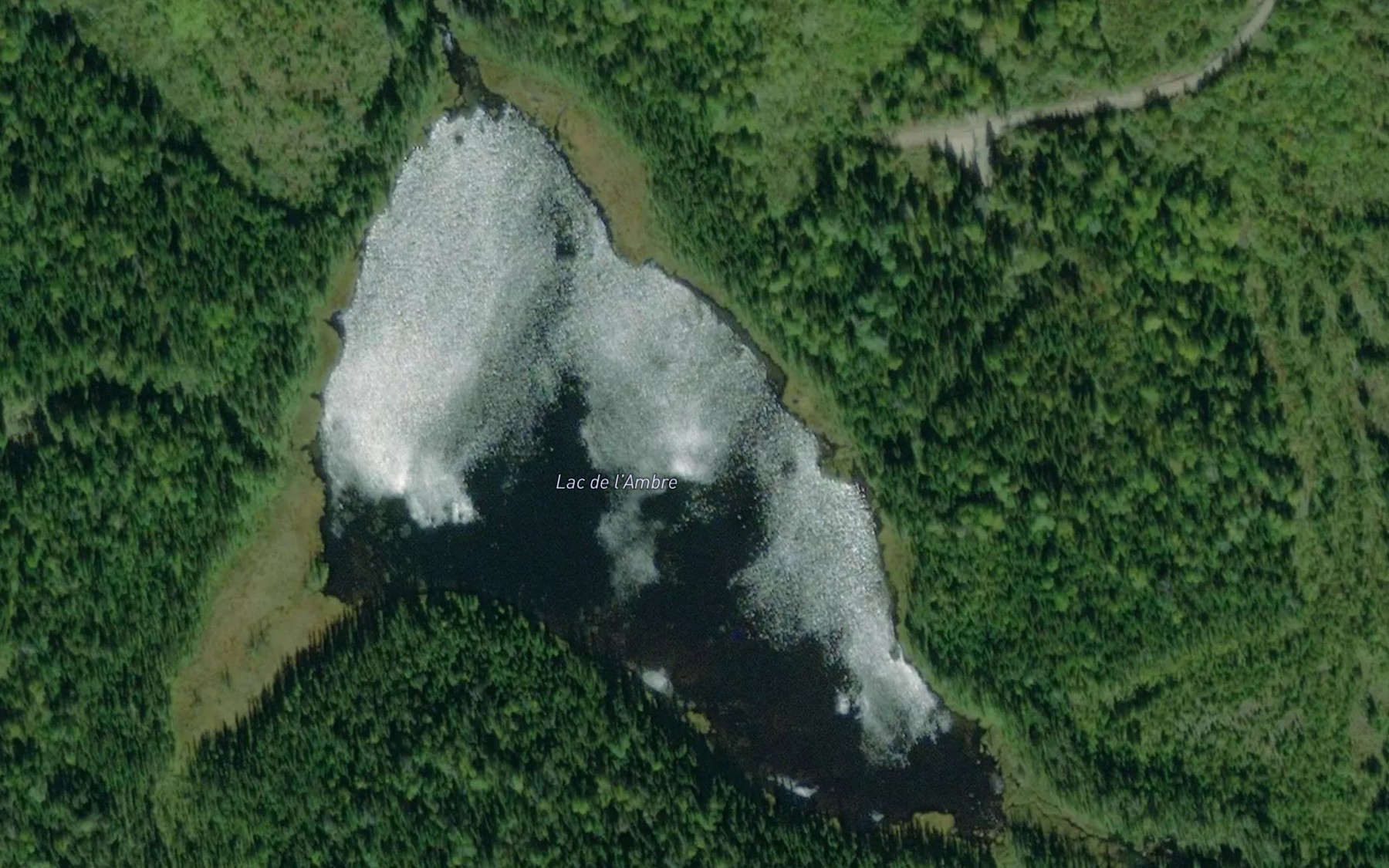 Satellite map of the Lac de l'Ambre