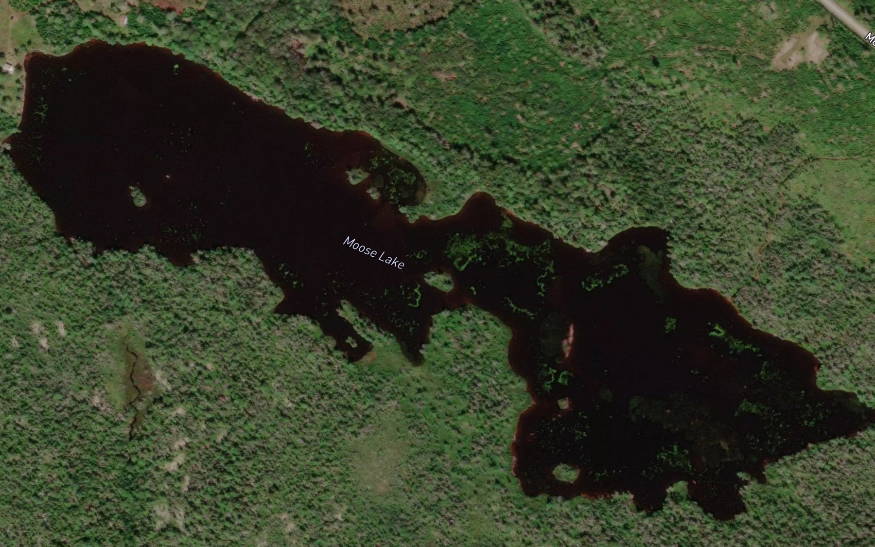 Satellite map of the Moose Lake