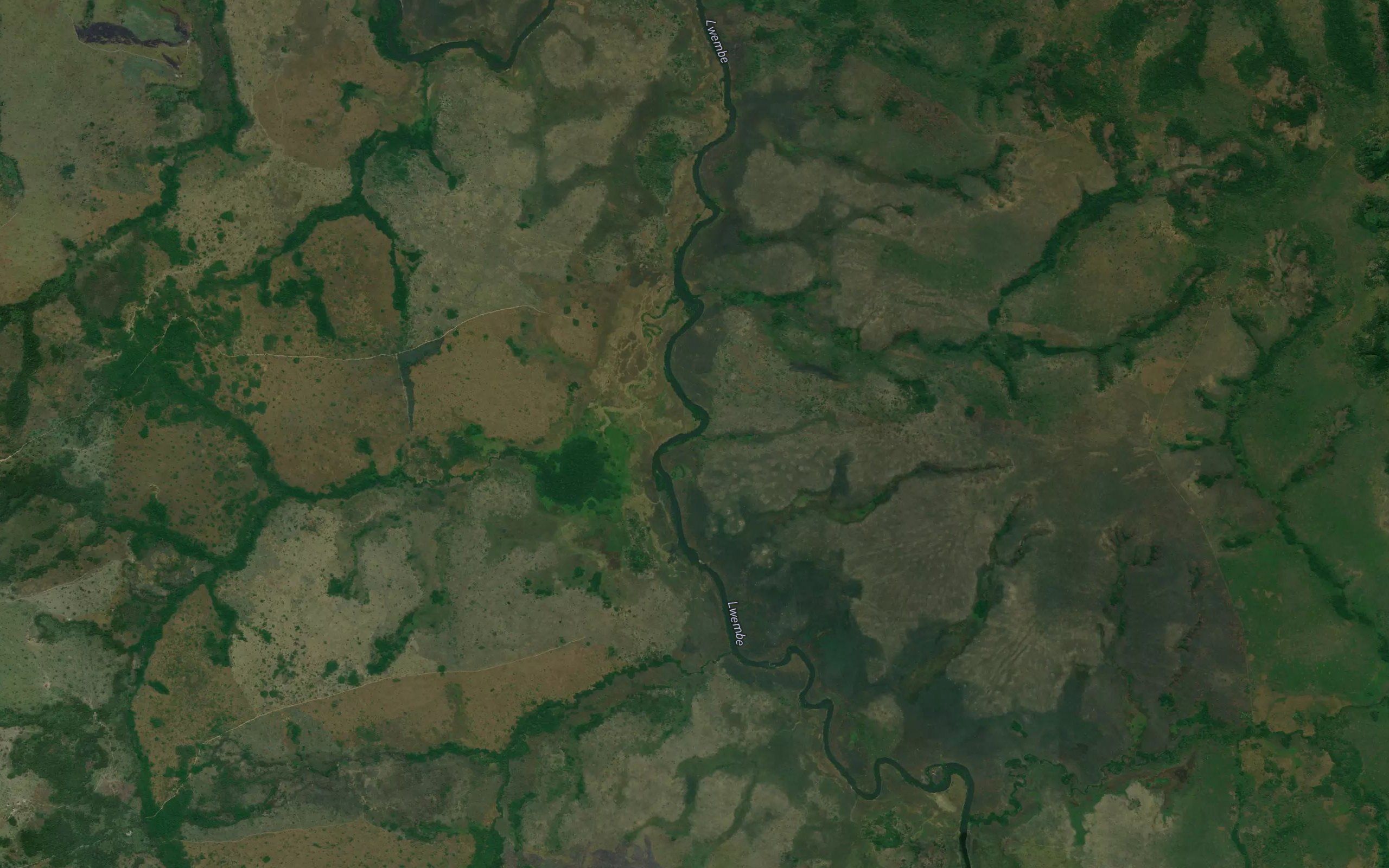 Kalongo