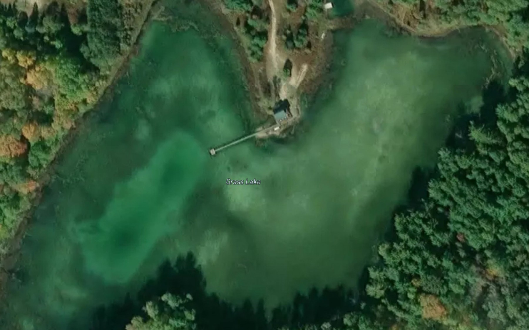 Satellite map of the Grass Lake