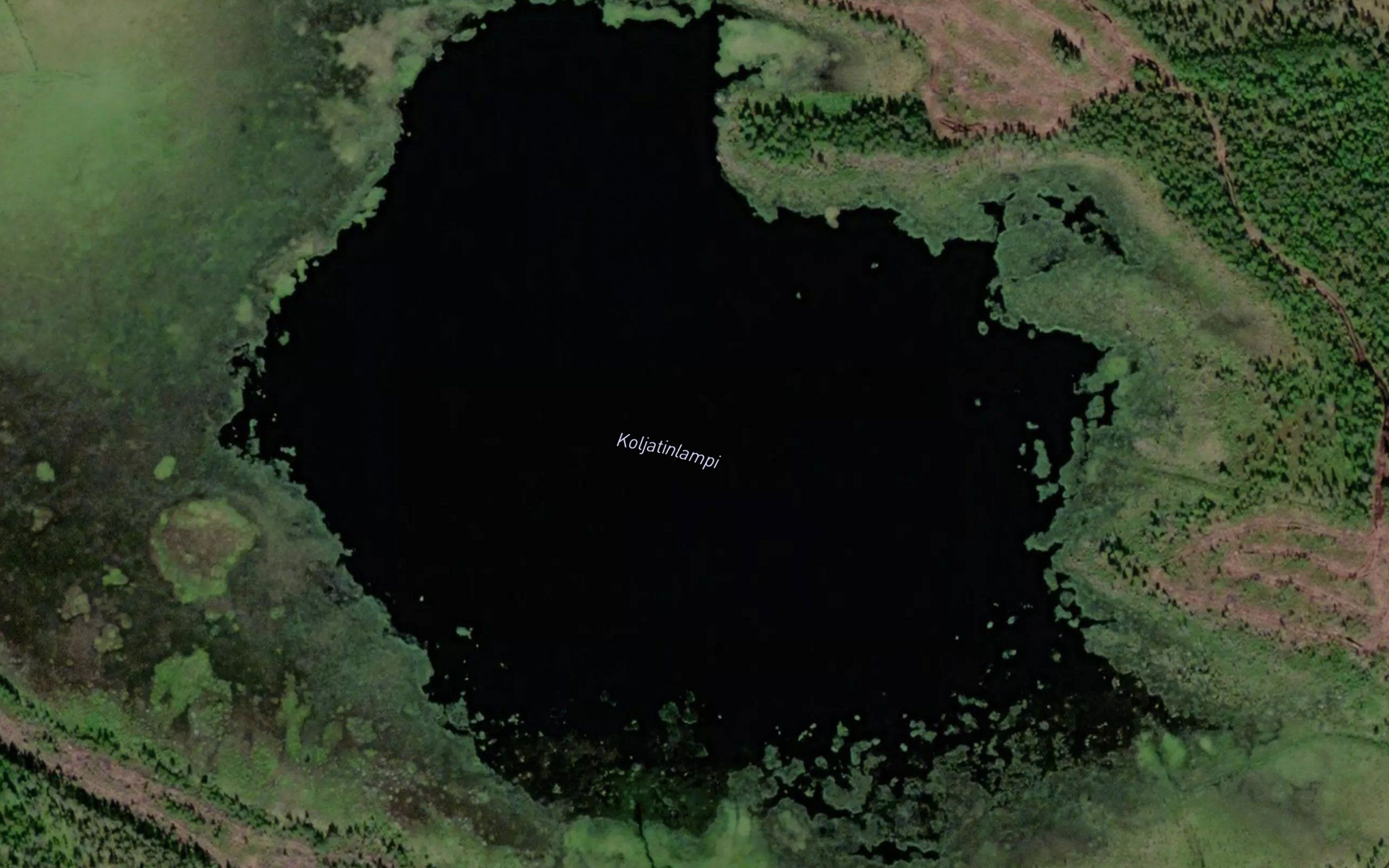 Koljatinlampi