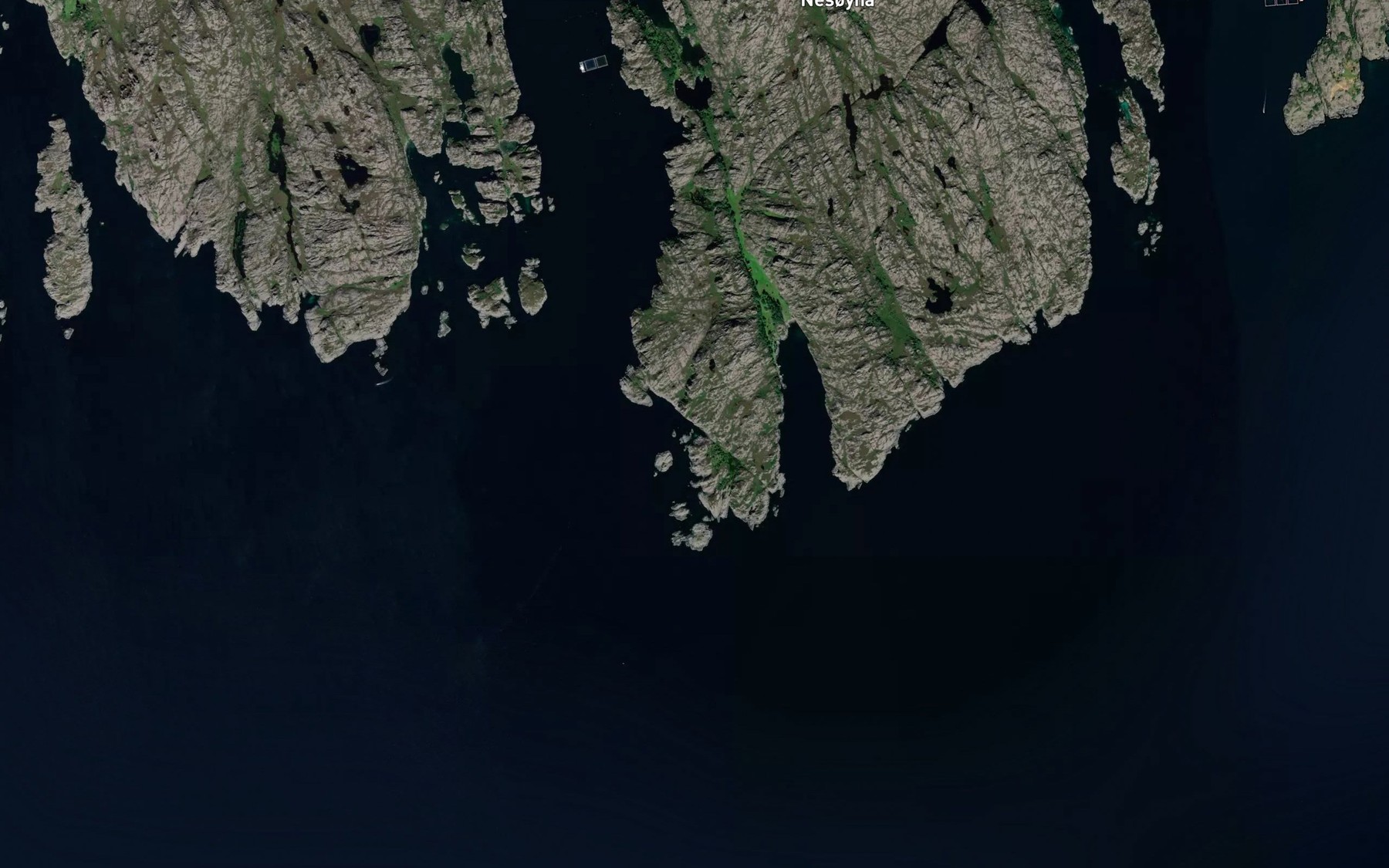 Satellite map of the Koparvika