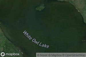 White Owl Lake