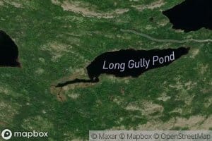 Long Gully Pond
