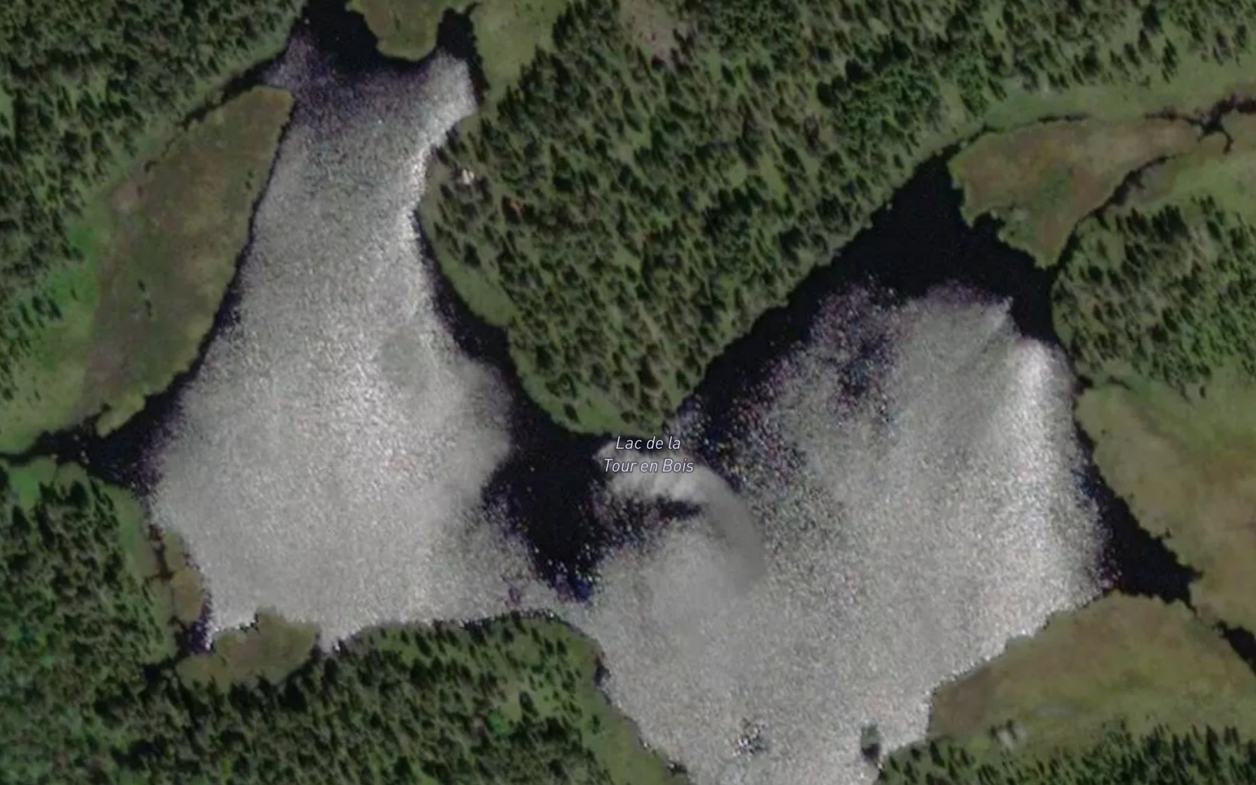 Satellite map of the Lac de la Tour en Bois